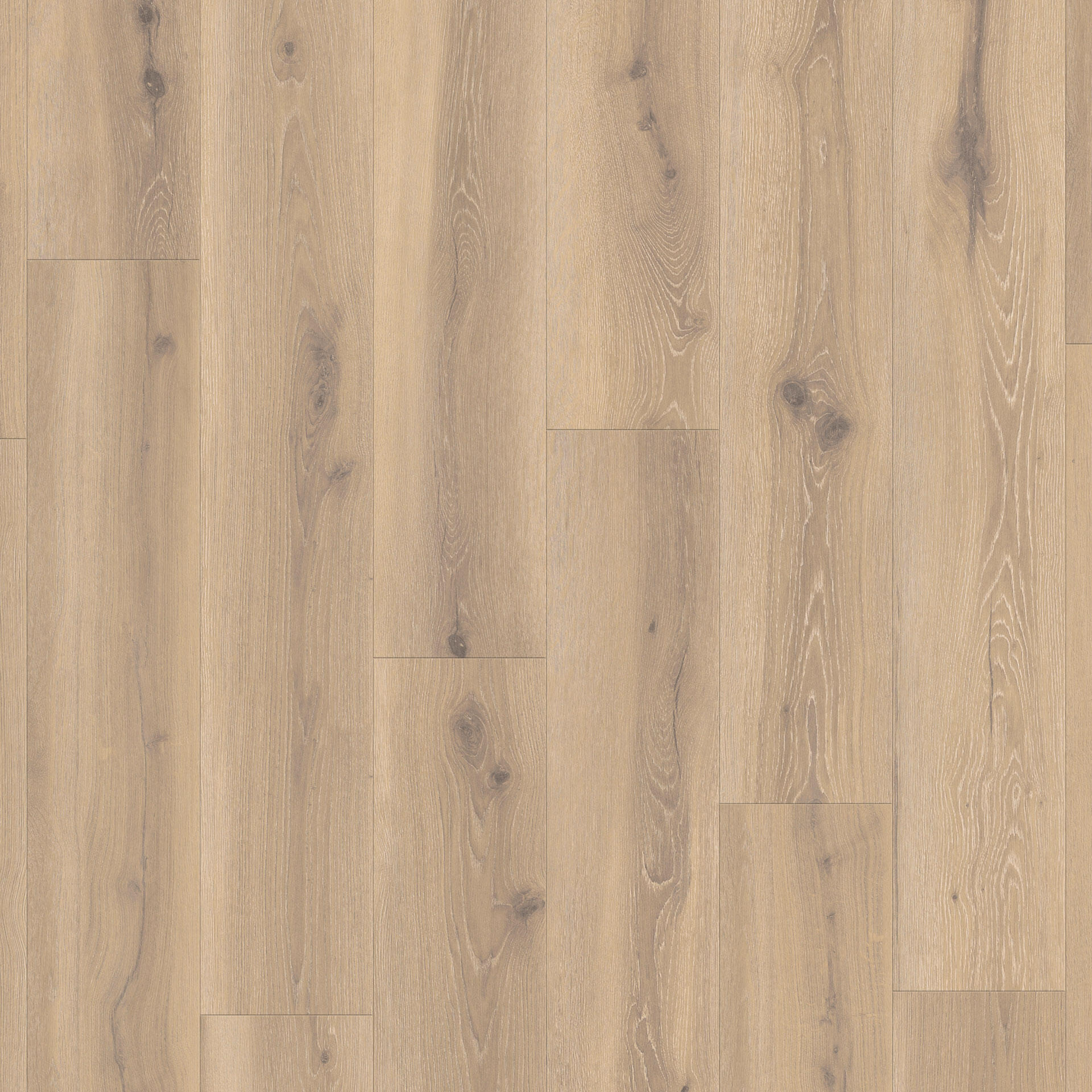 Forest Oak Nutmeg