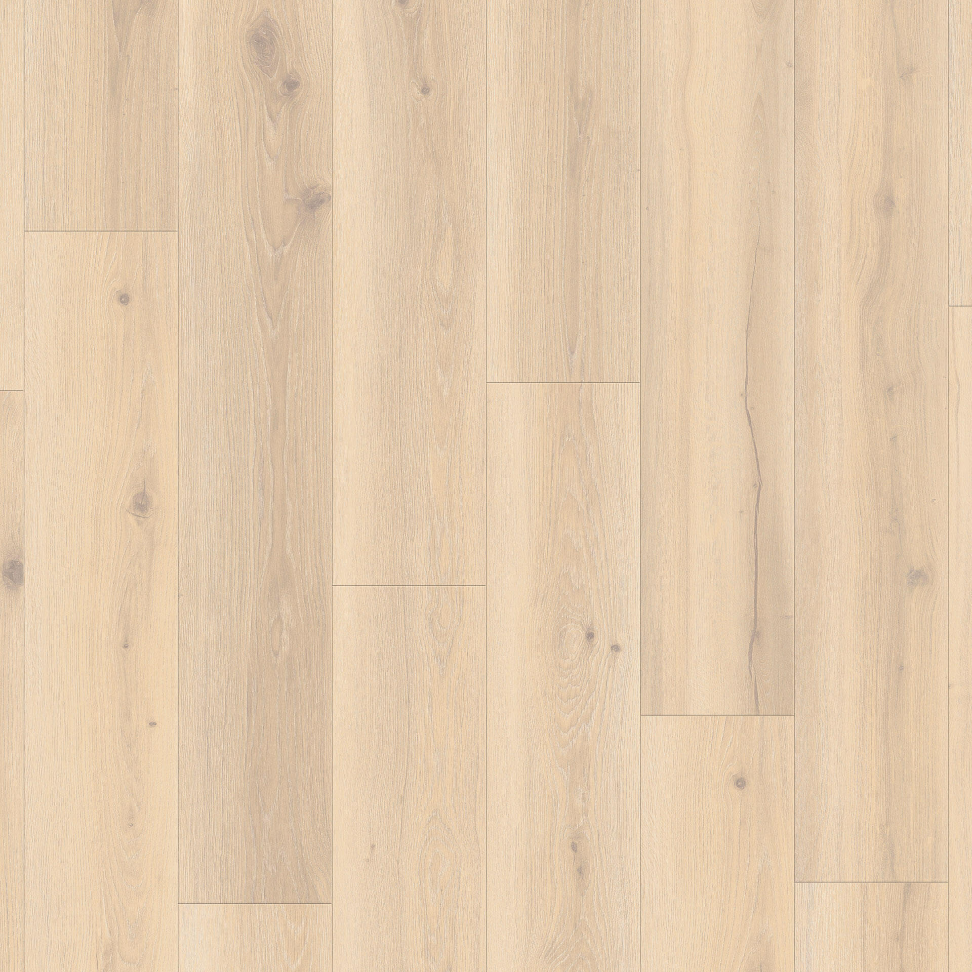 Forest Oak Pistachio Shell
