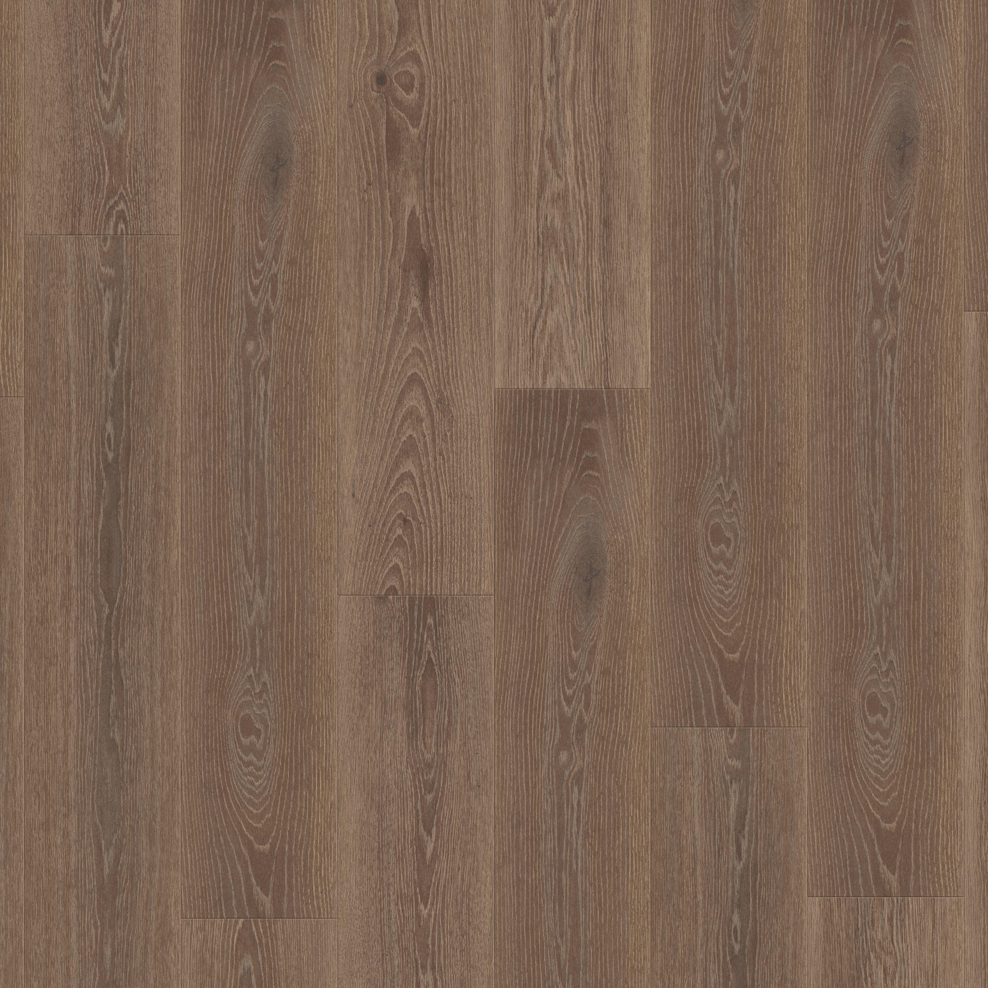 Highland Oak Arabica