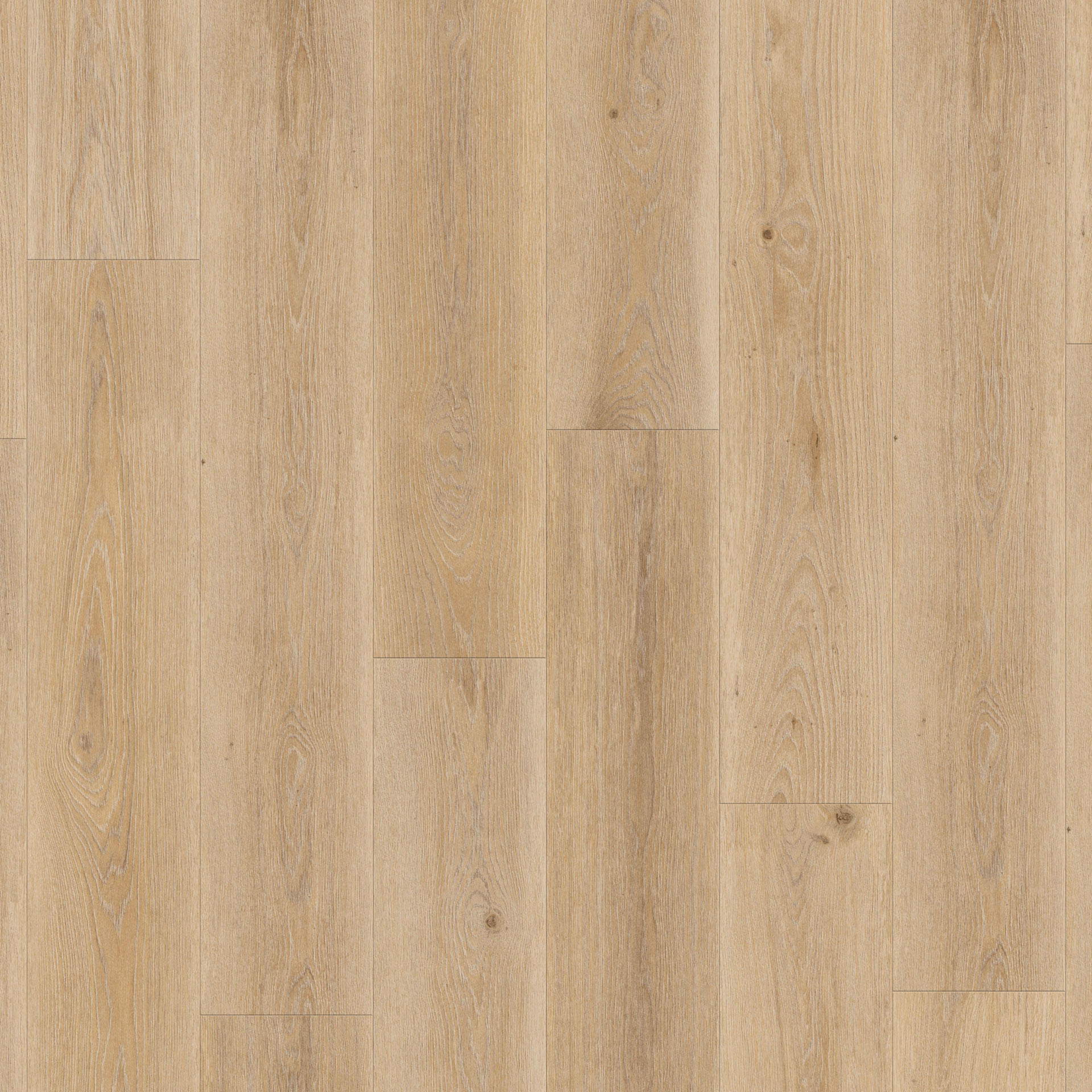Highland Oak Golden