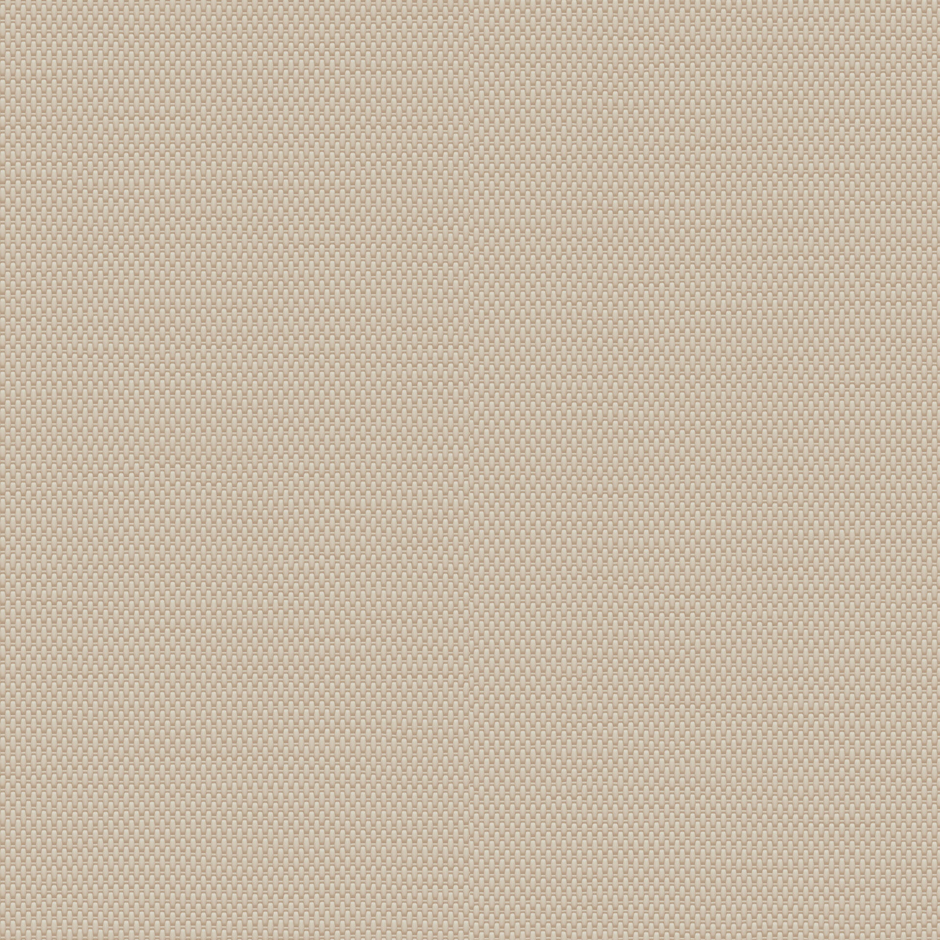 Canvas BLUSH