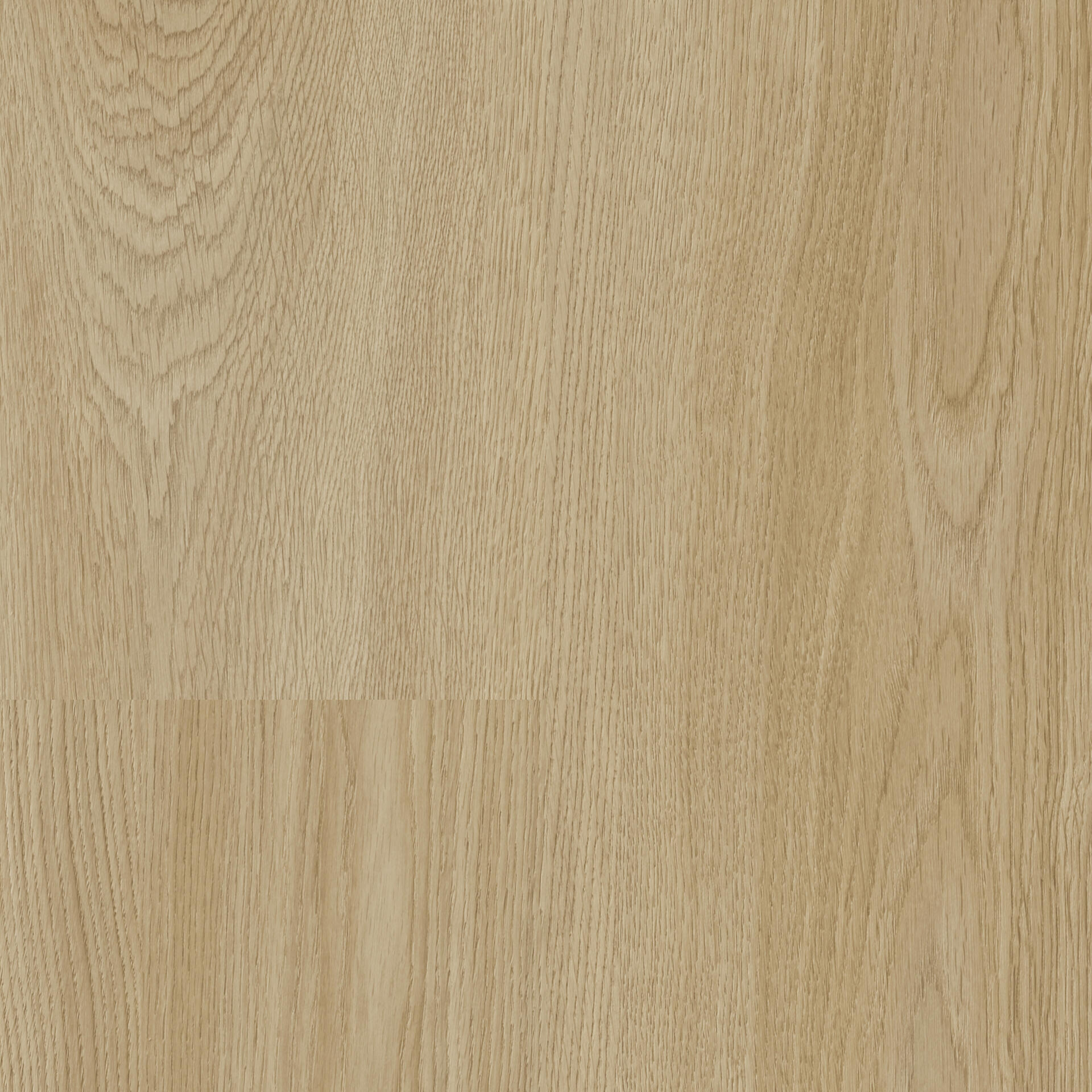Citizen Oak Allover Golden