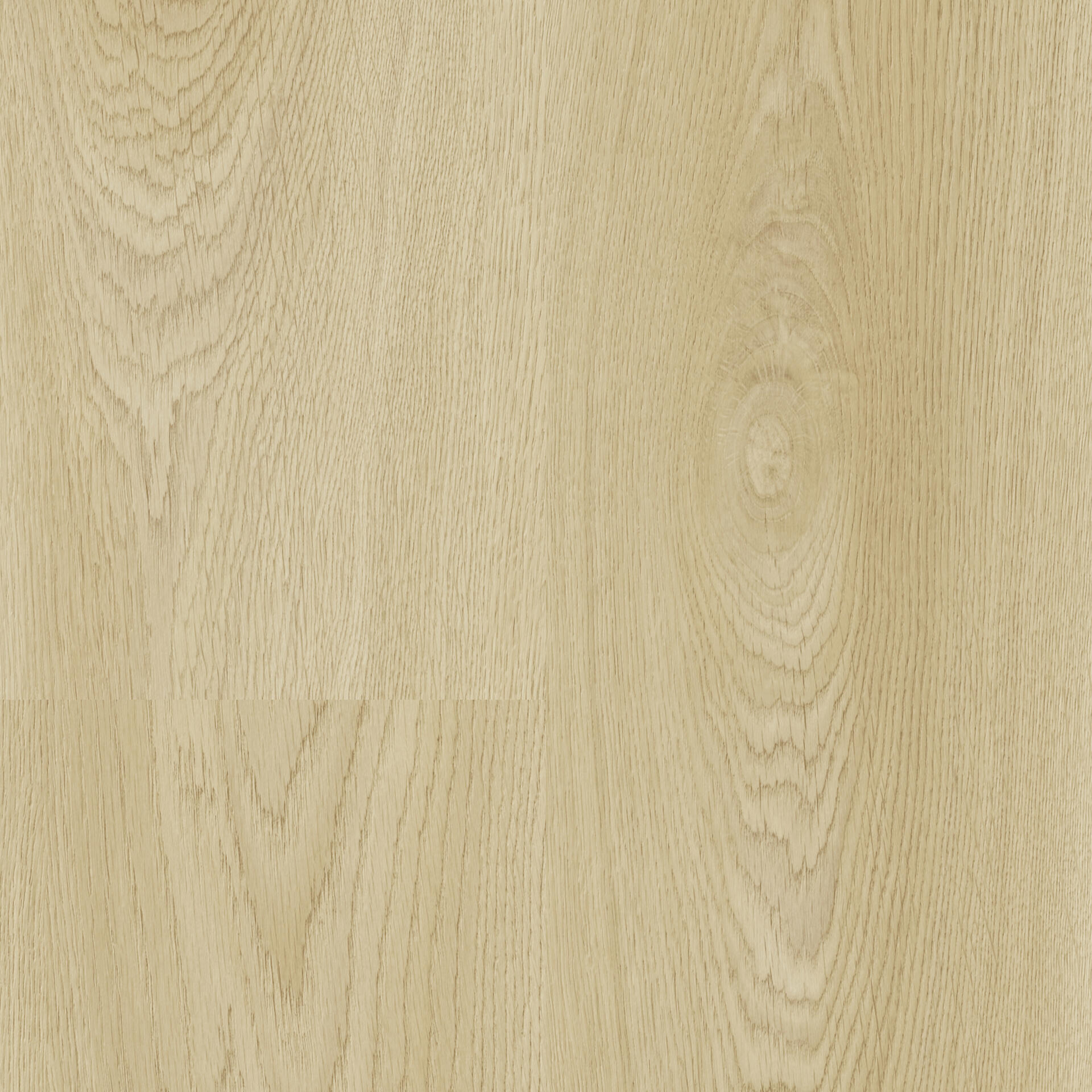 Citizen Oak Allover Natural