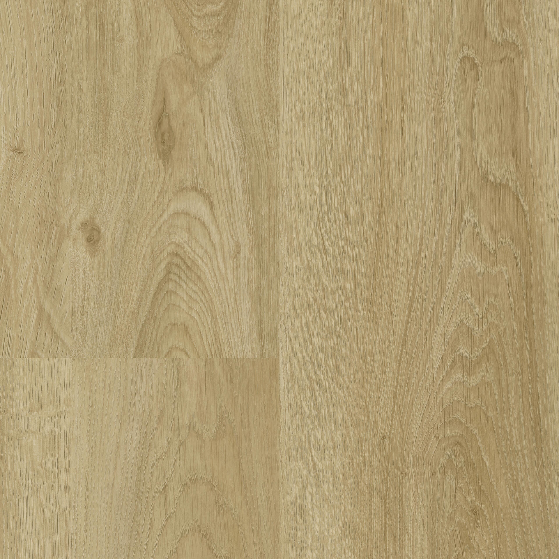 English Oak Classical