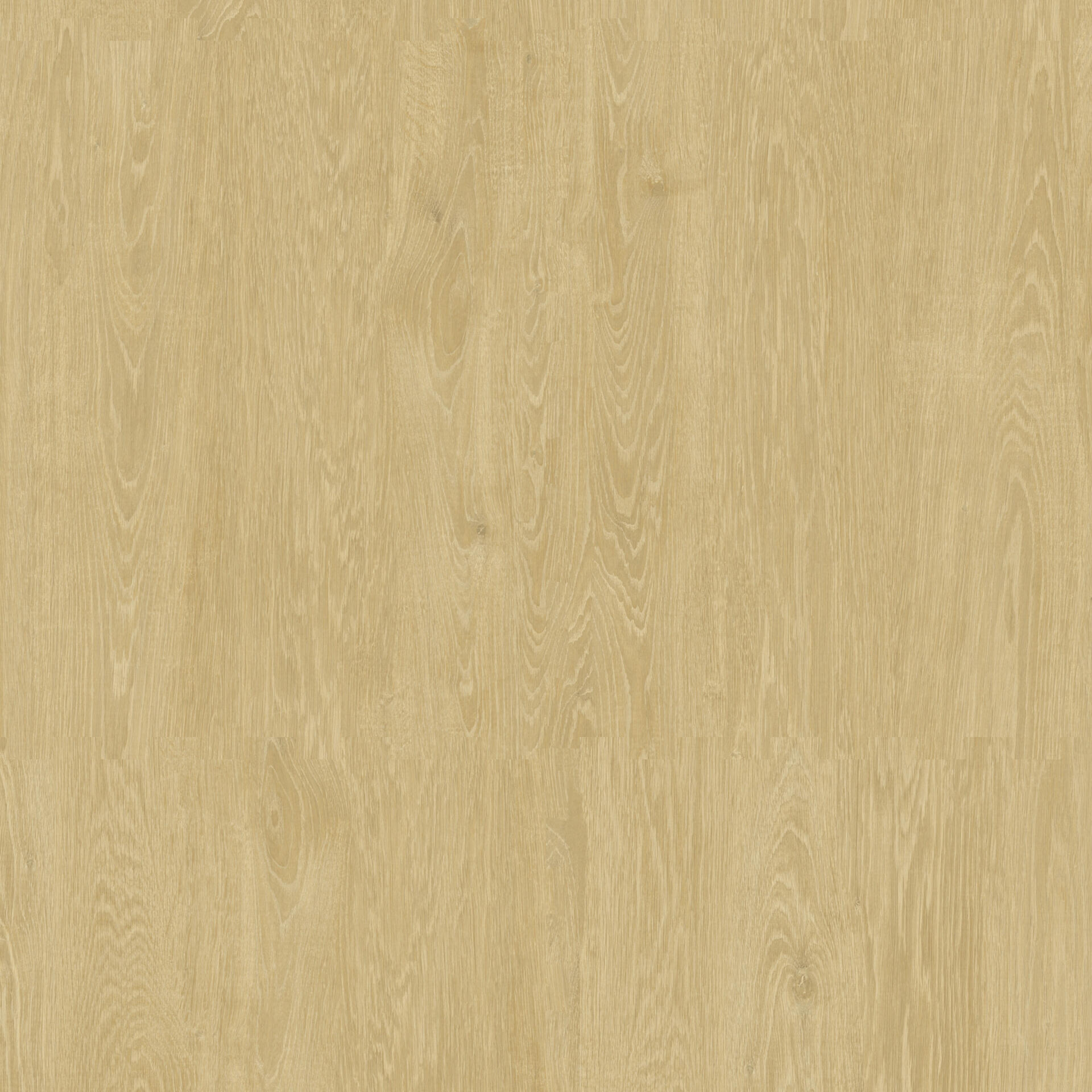 Lime Oak Golden