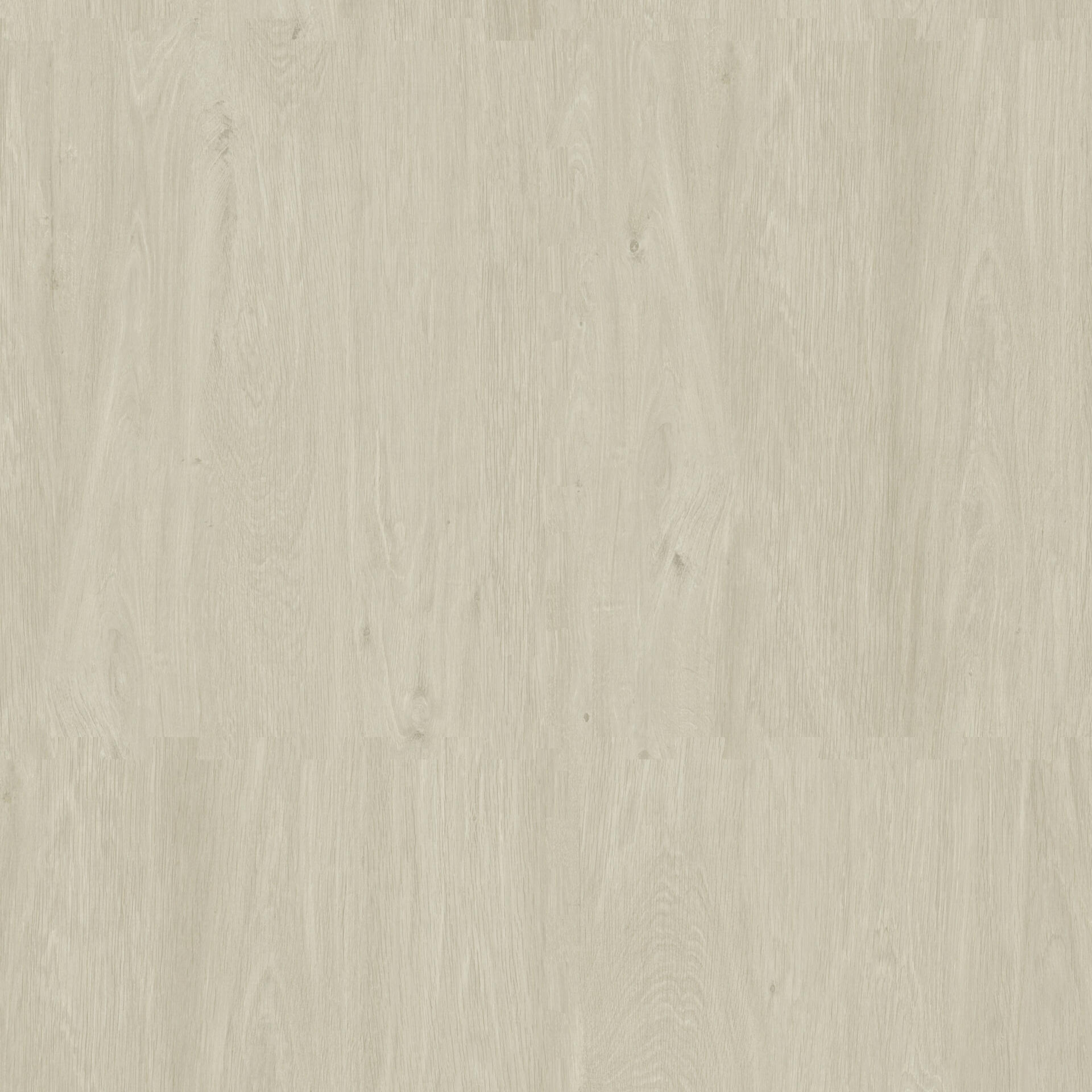 Lime Oak Silver