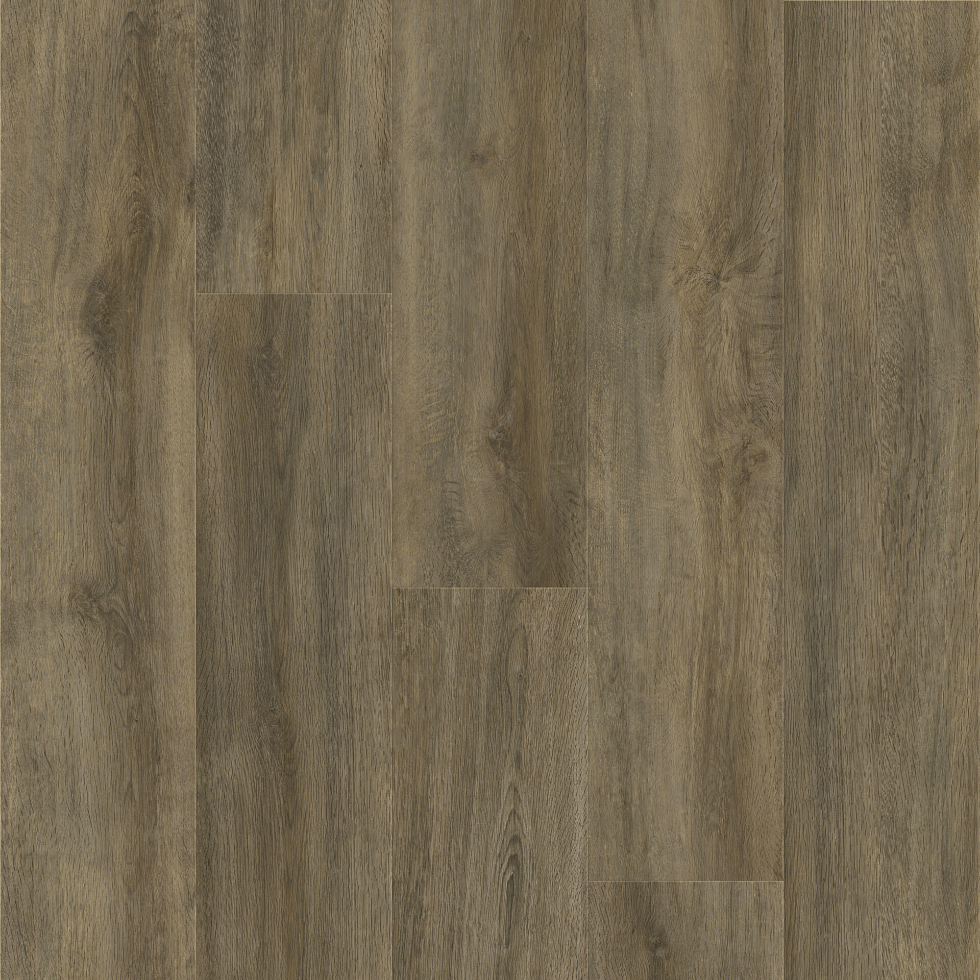 Oak Elegant Cold Brown