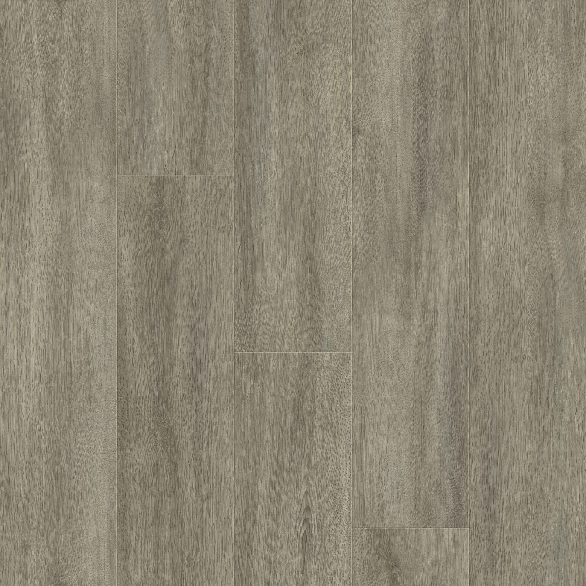 Oak Elegant Warm Gray