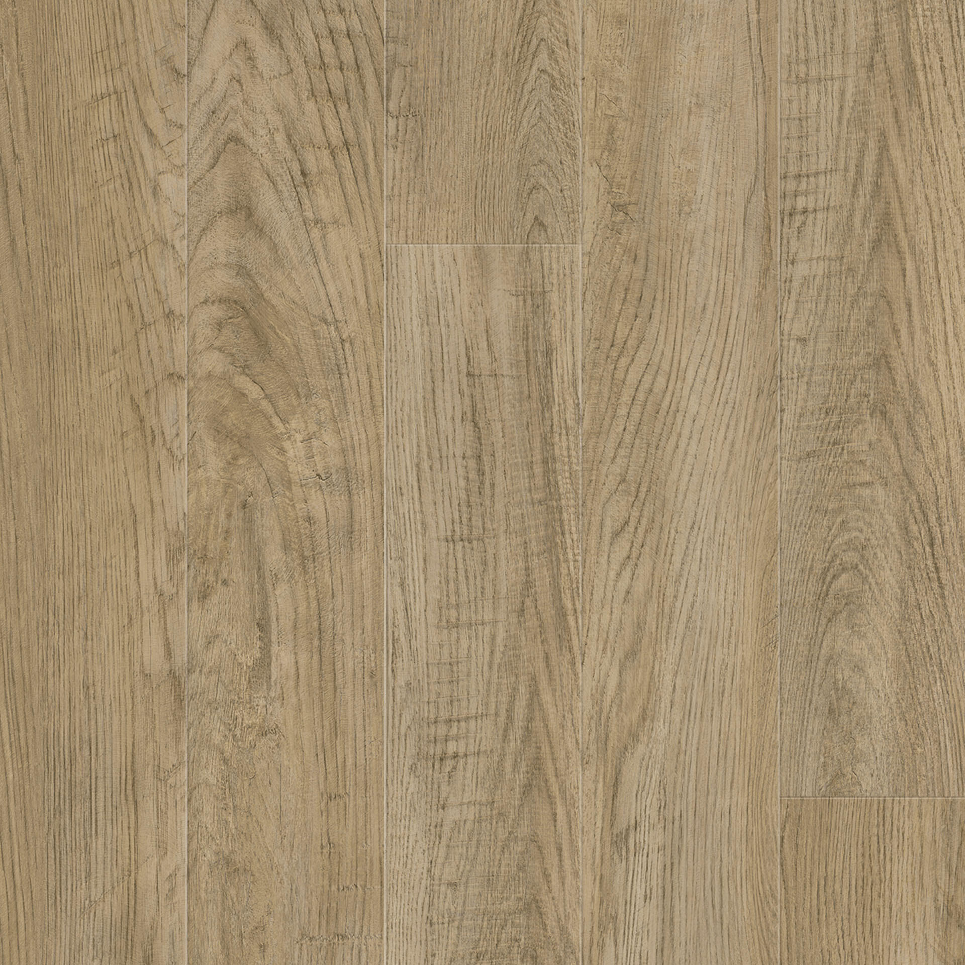 Oak Modern Nature