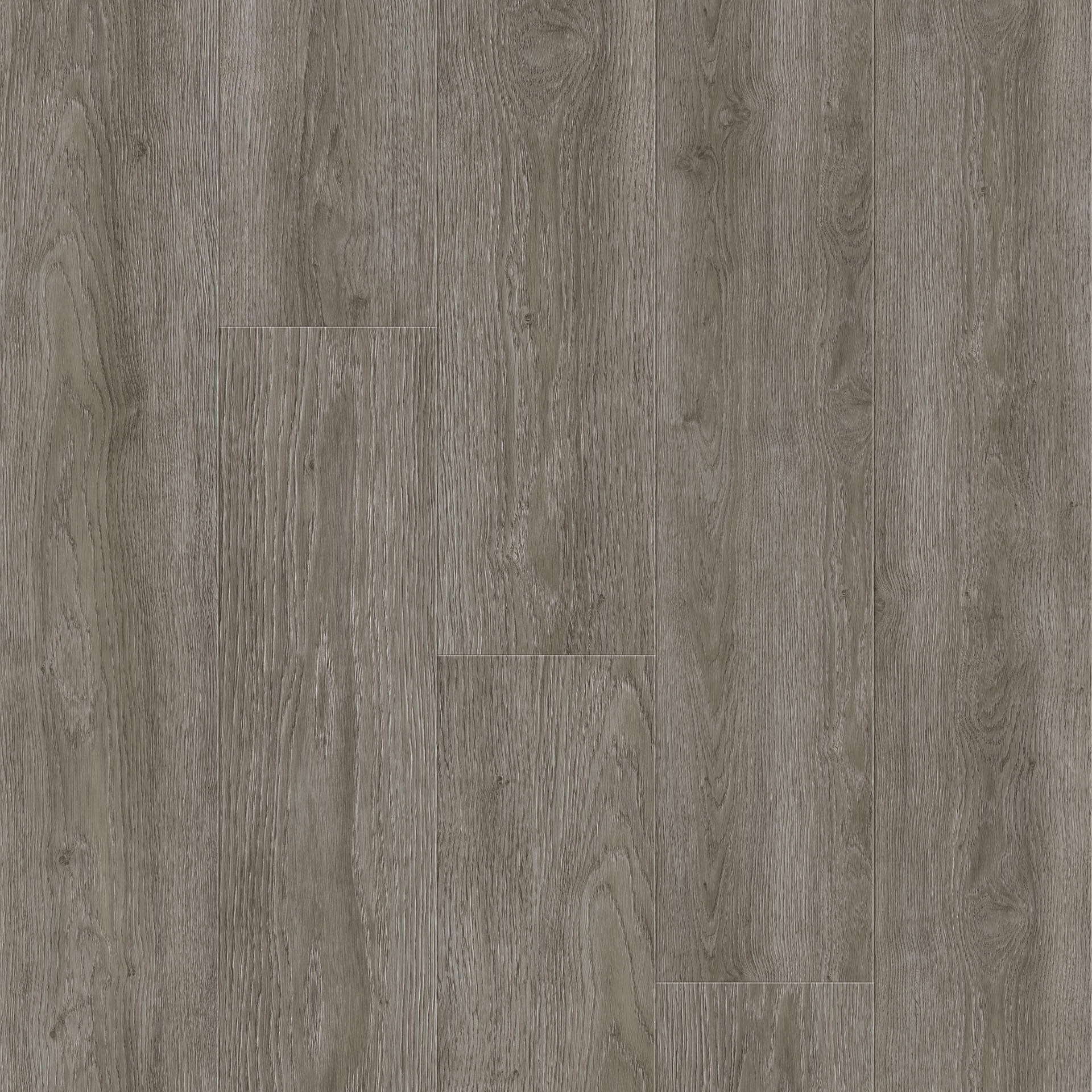 Oak Trend Cold Brown