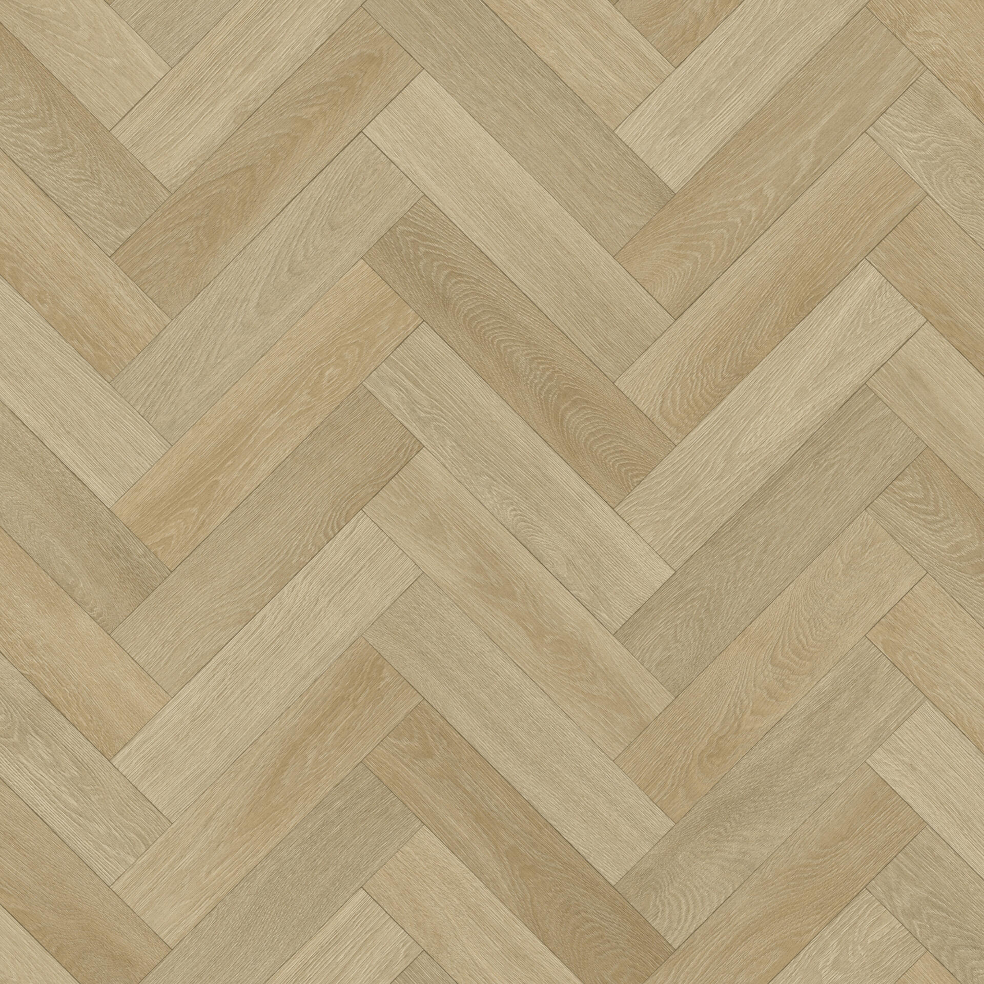 Ancares Herringbone Lion