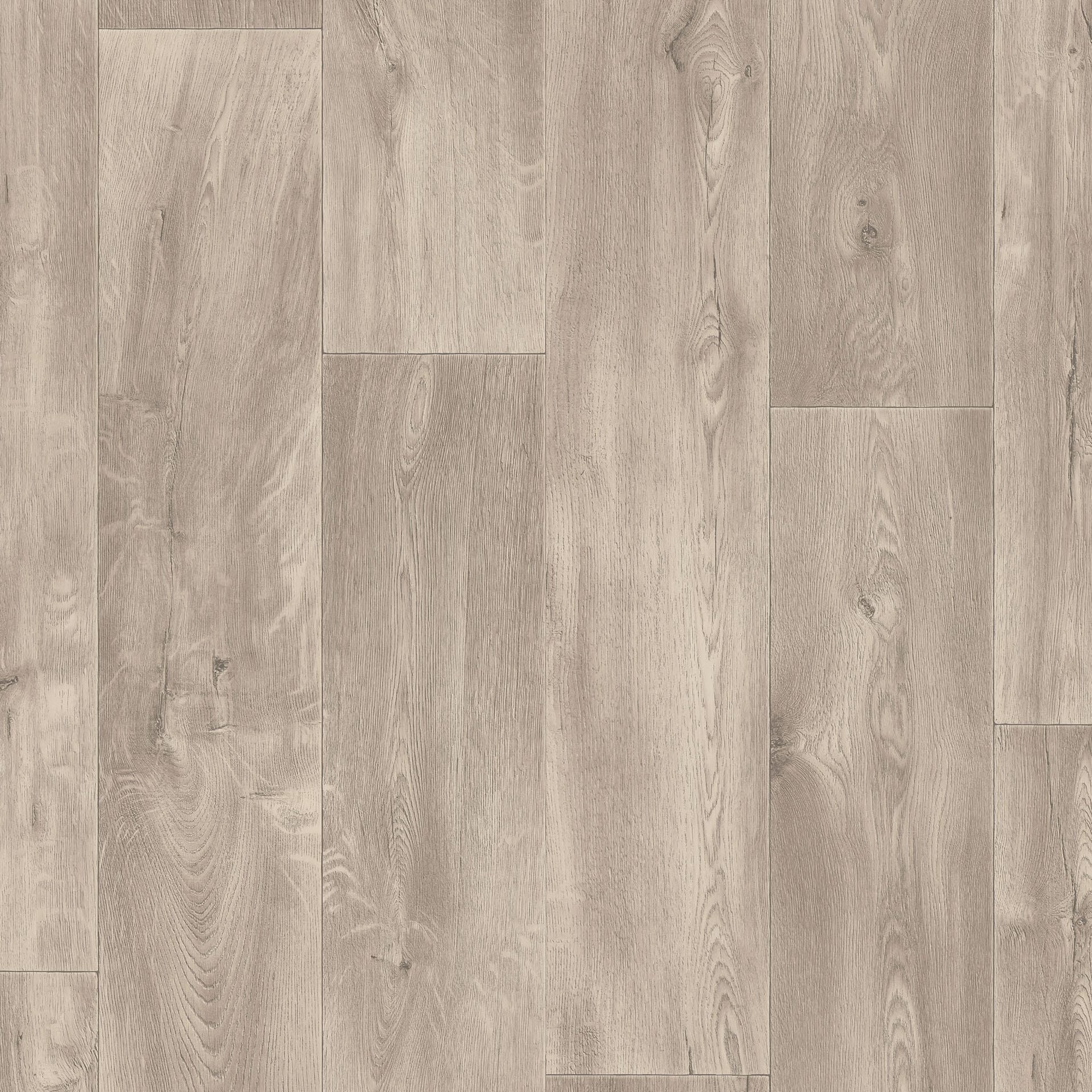 Legacy Oak Light Grey