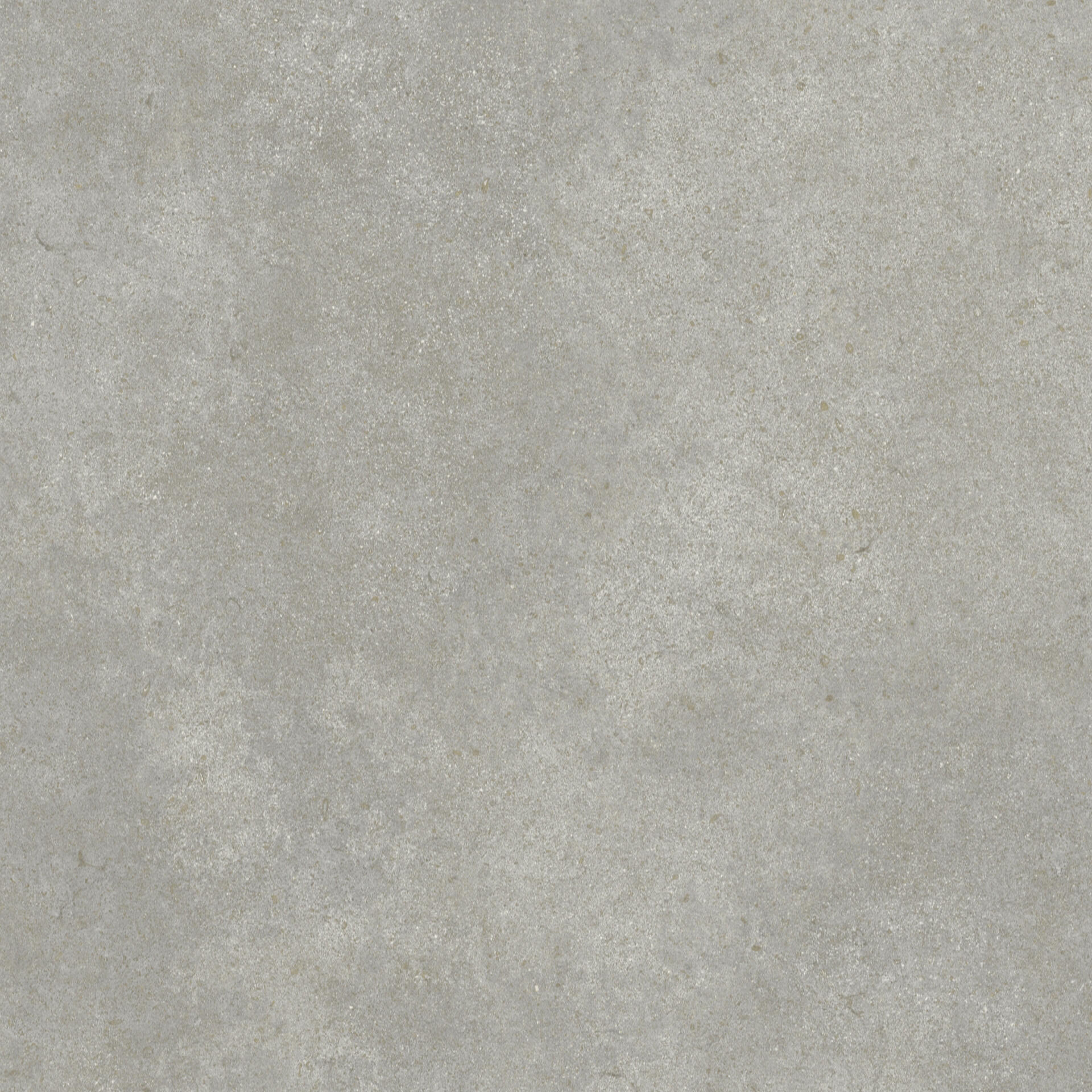 Shellstone Grey