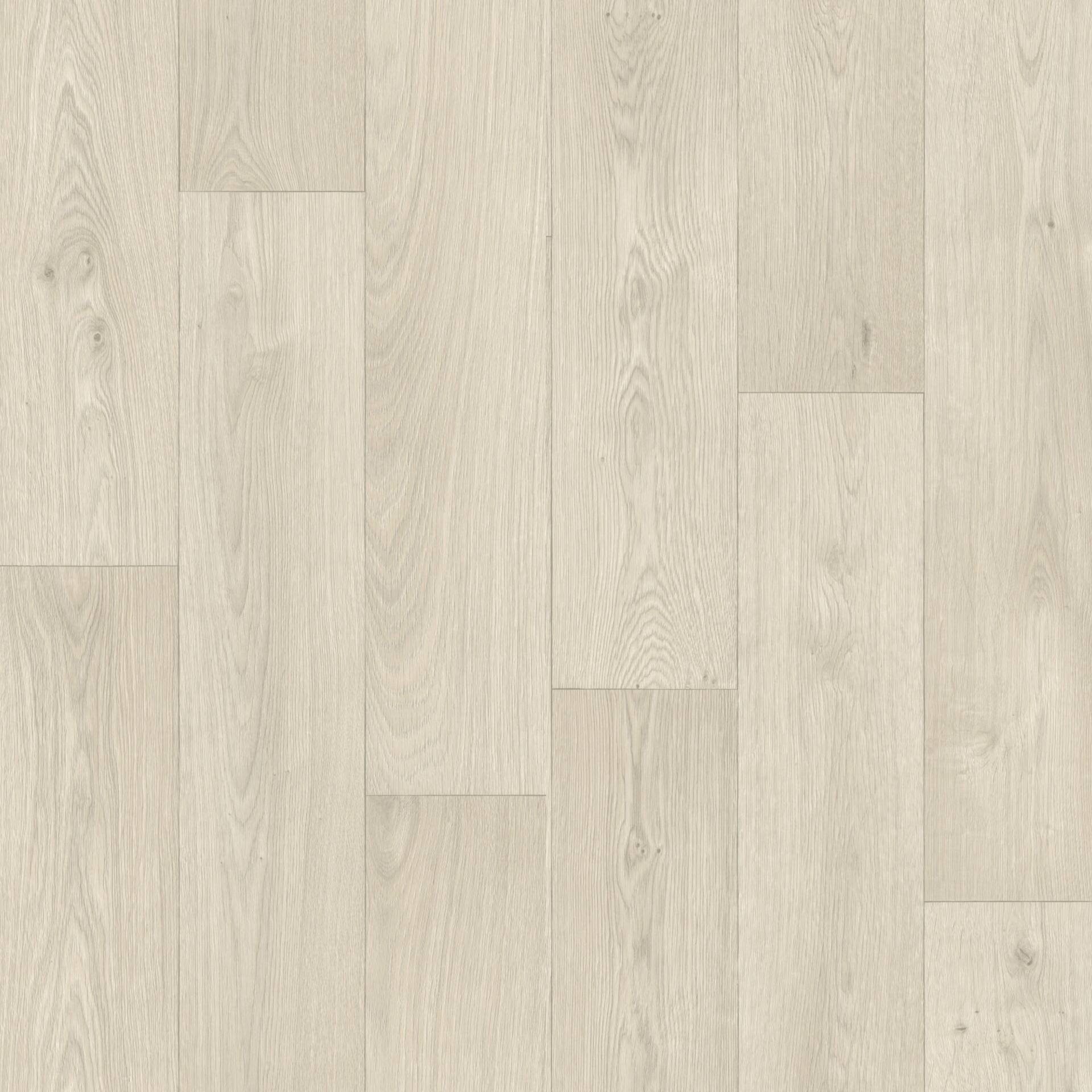 Swan Medium Grey