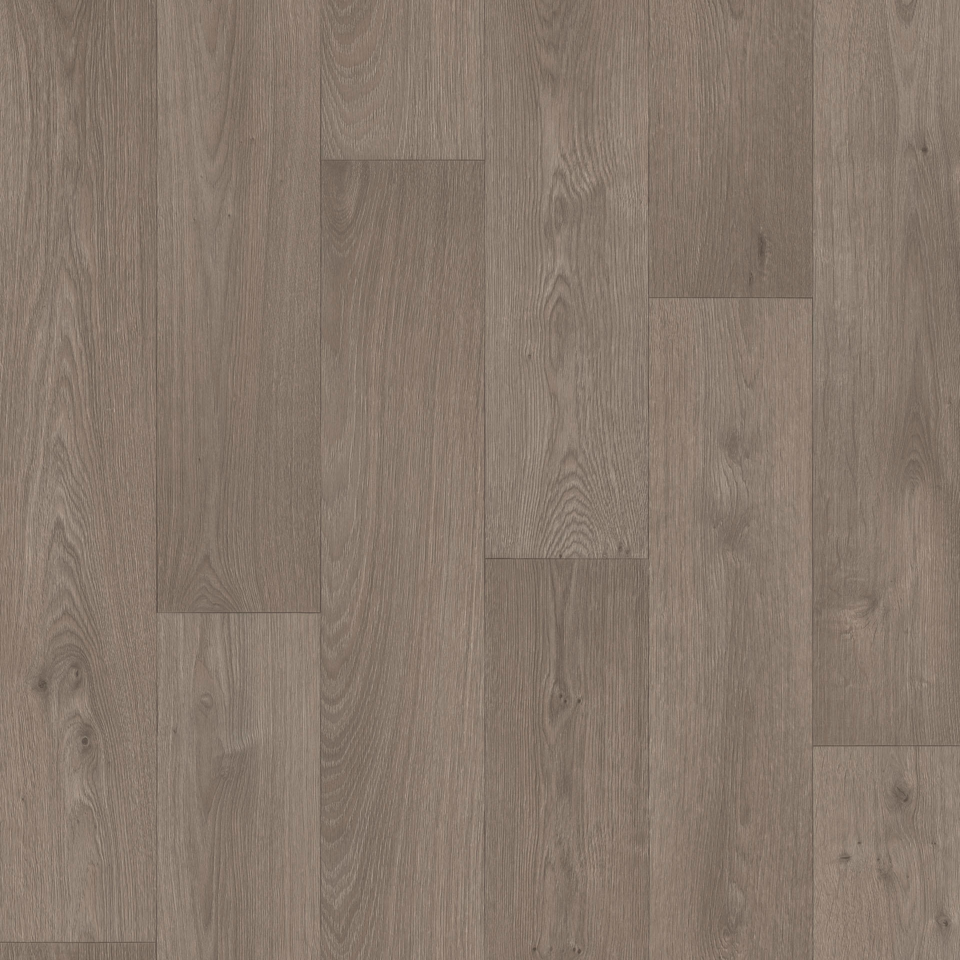Swan Taupe