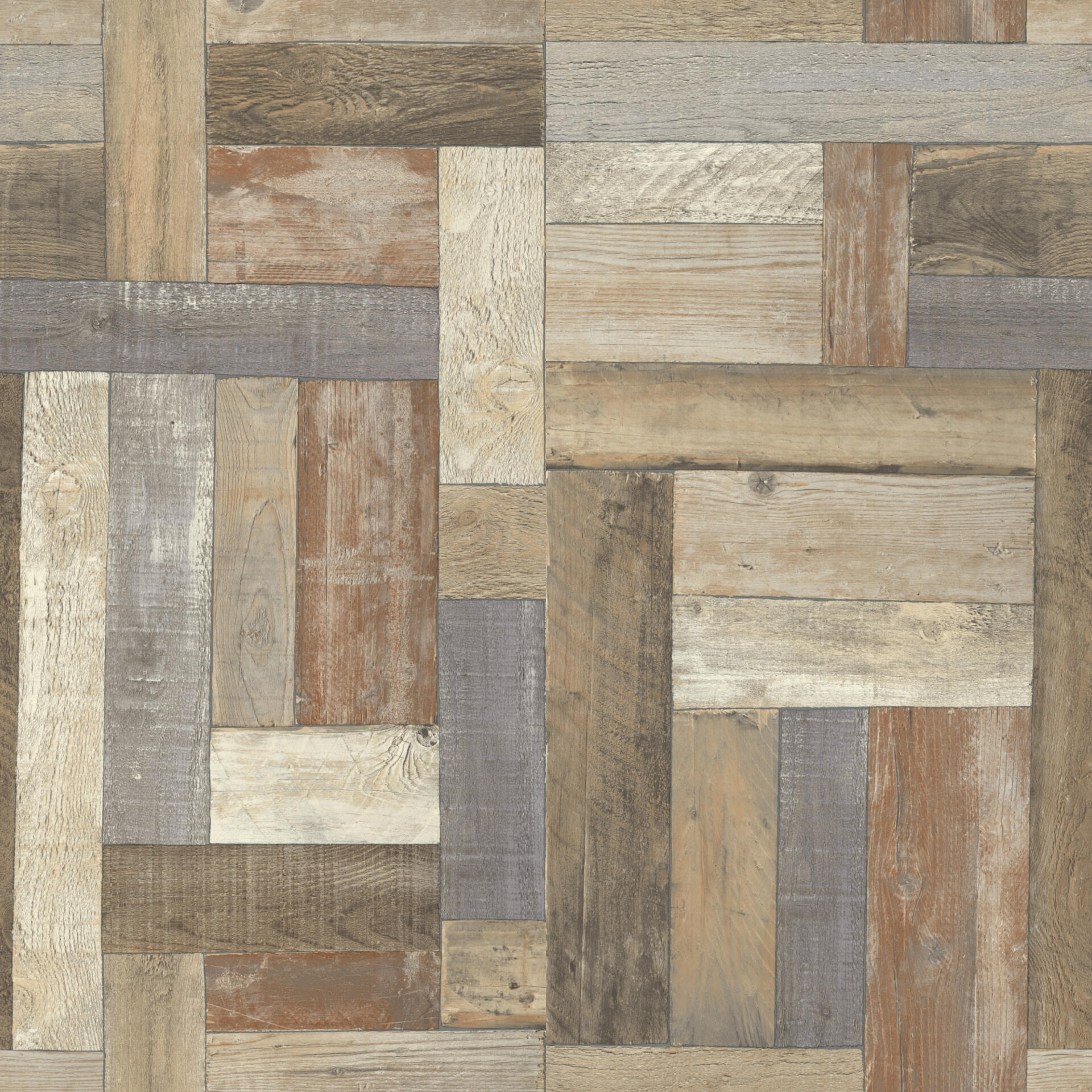 Trend Pine Multicolor