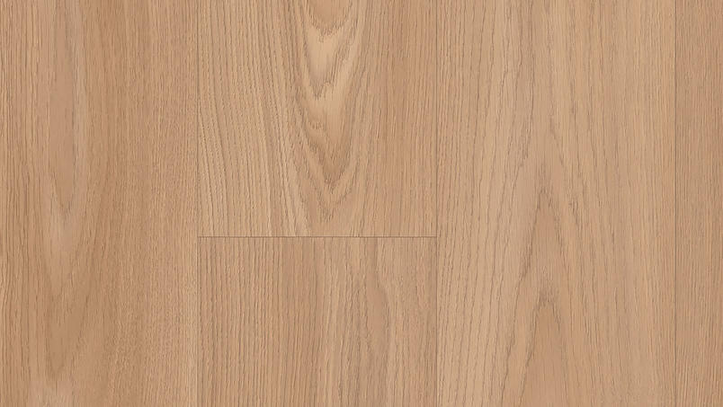 Citizen Oak Allover Beige