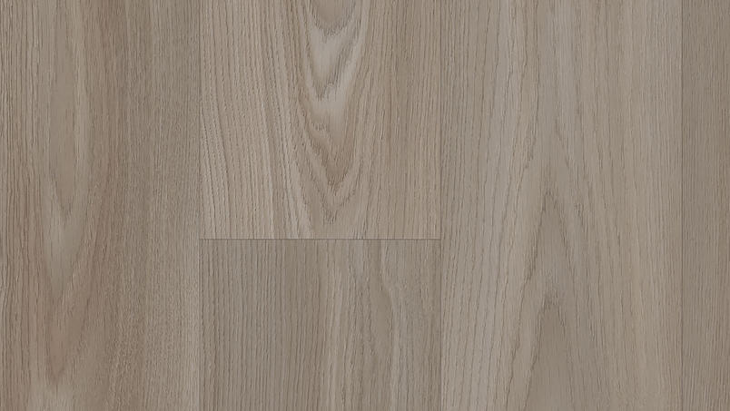 Citizen Oak Allover Dark Grey