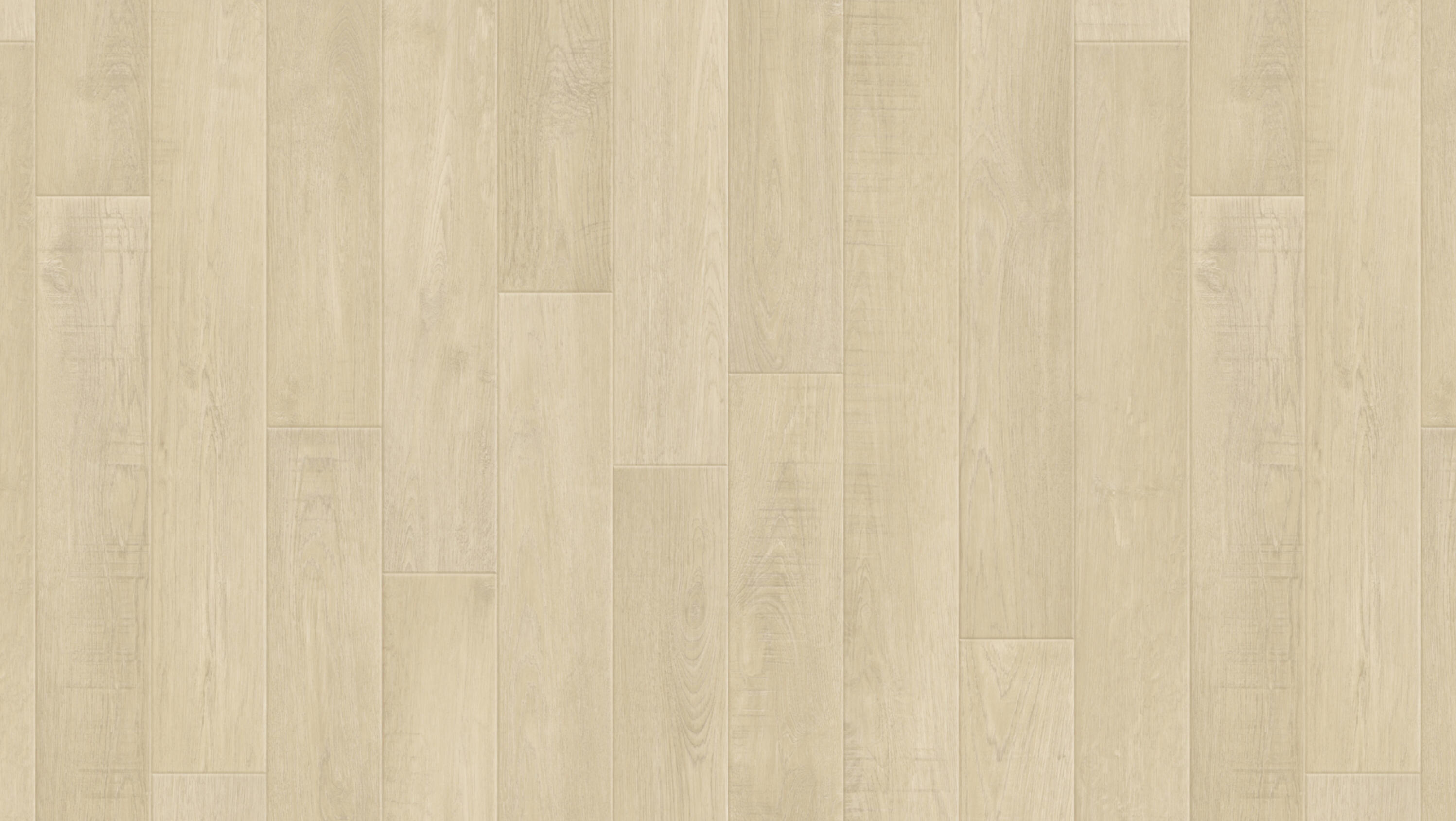 Holm Oak Blonde