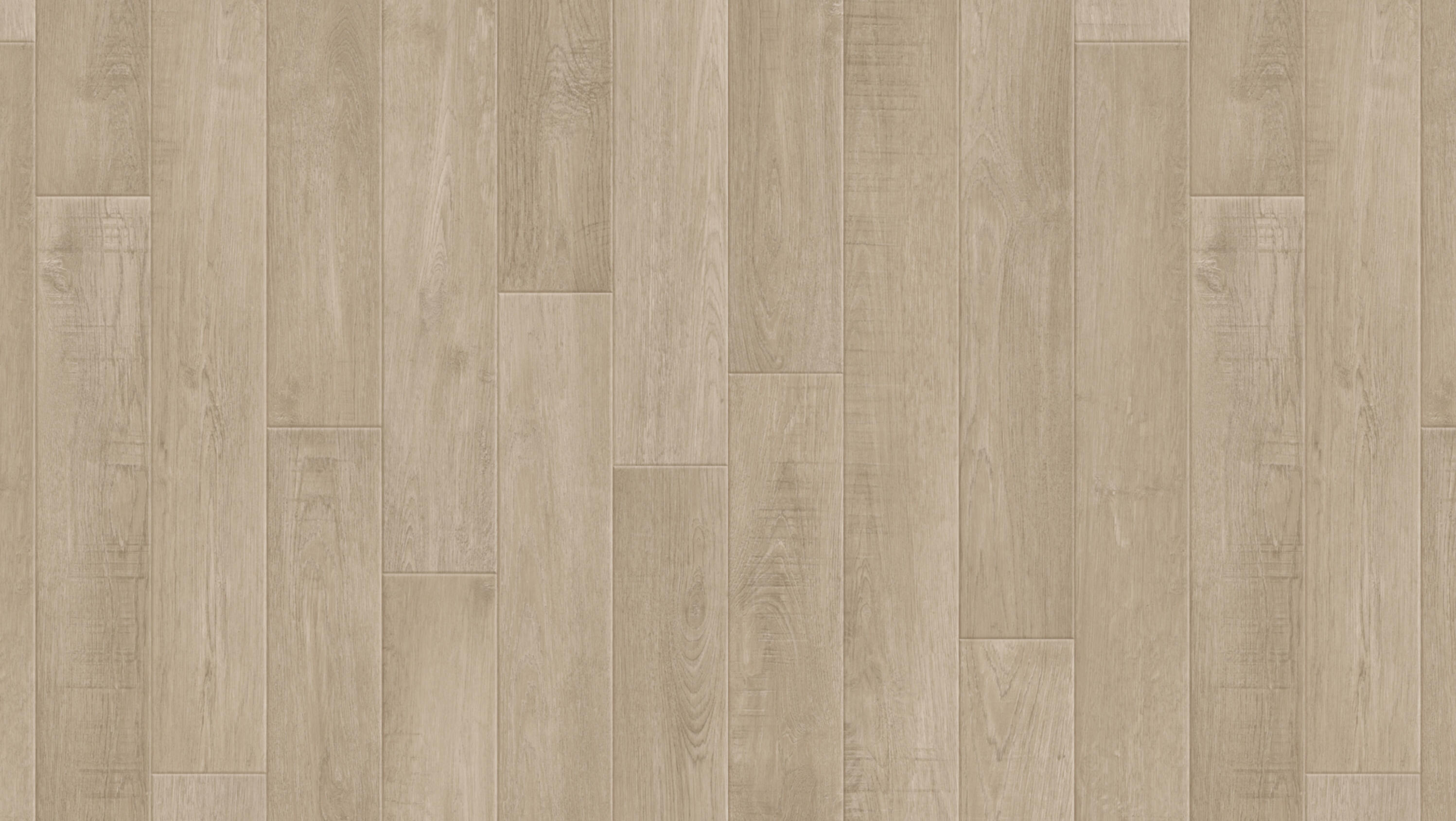 Holm Oak Chestnut