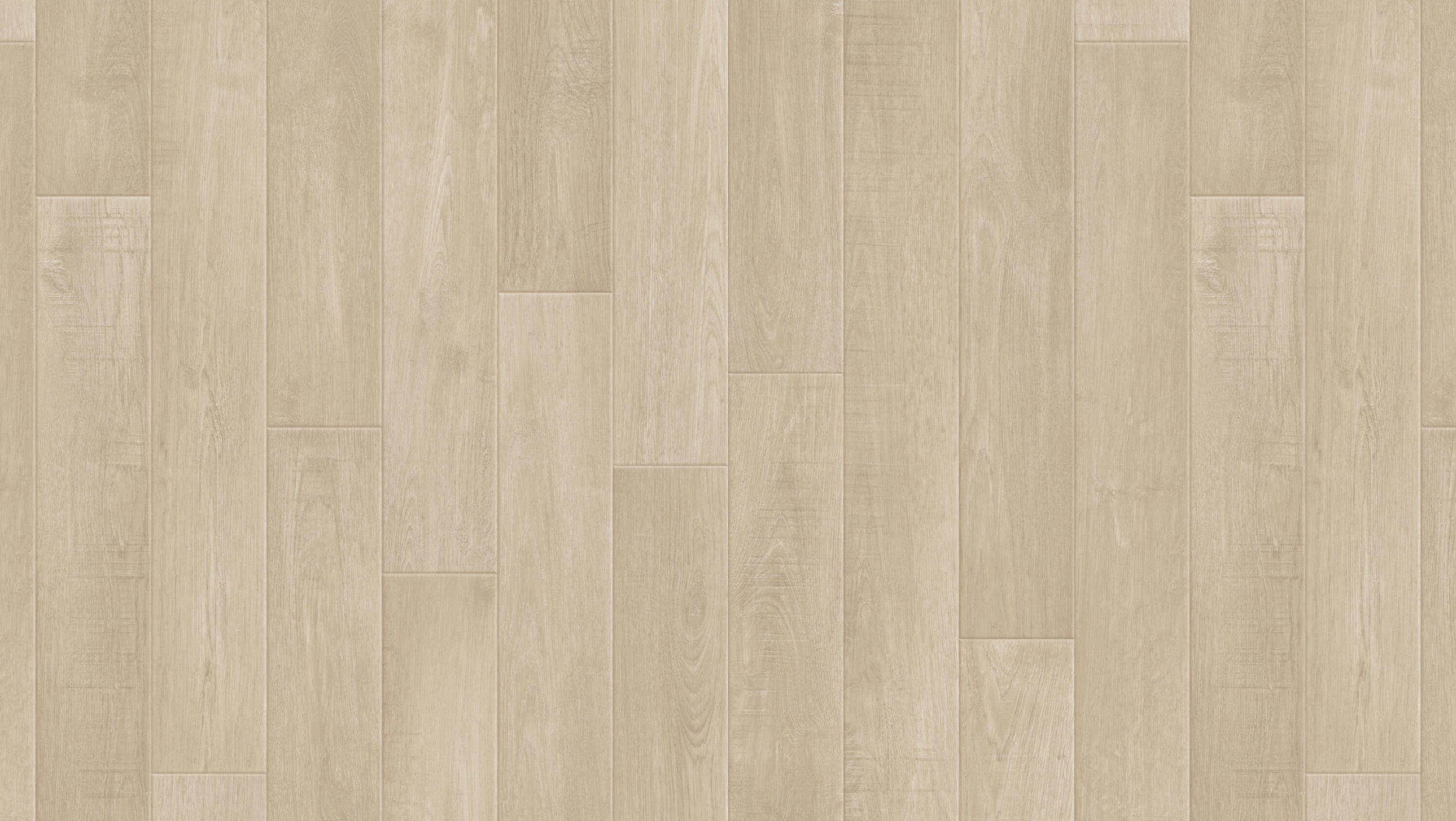 Holm Oak Classic