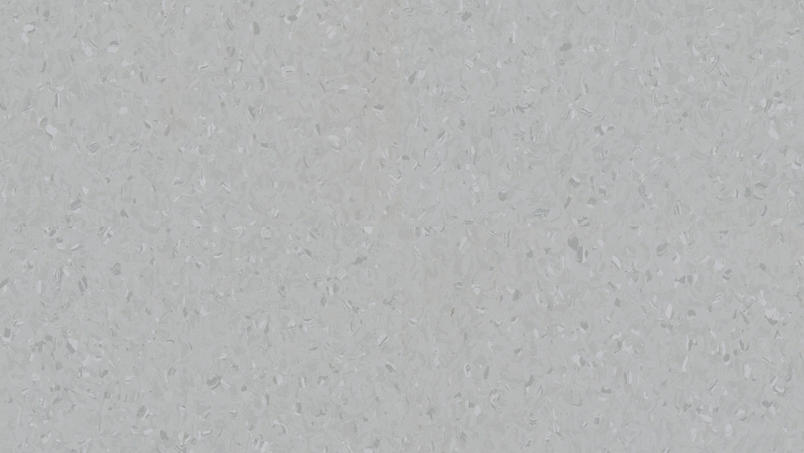 0042 Light Cold Grey