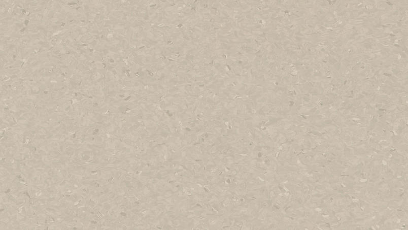 0481 Light Warm Beige