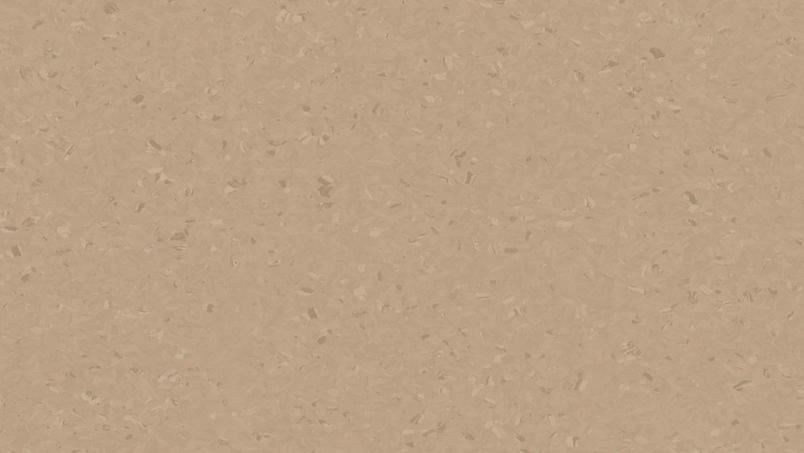 0489 Warm Beige