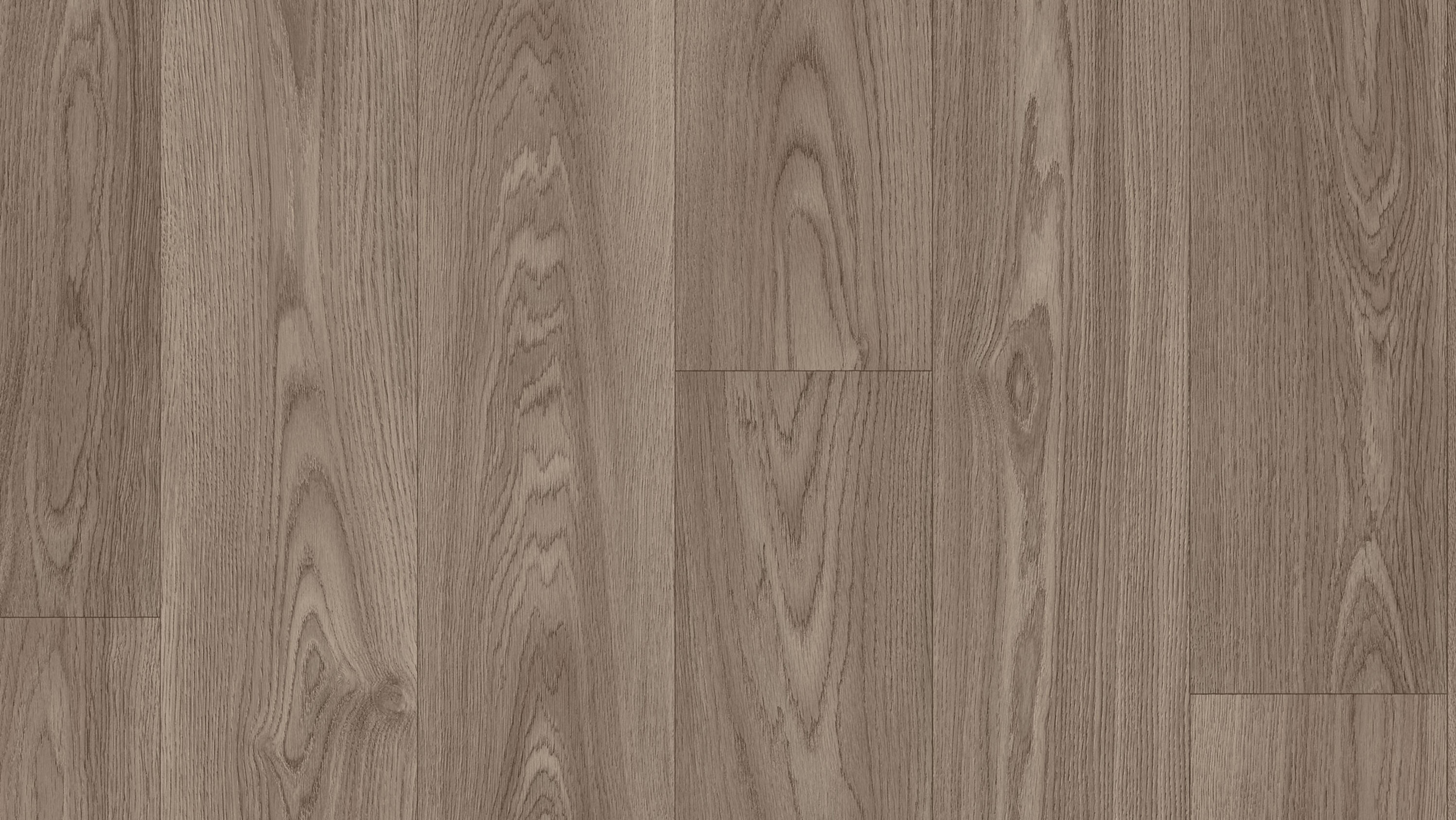 Citizen Oak Dark Grey