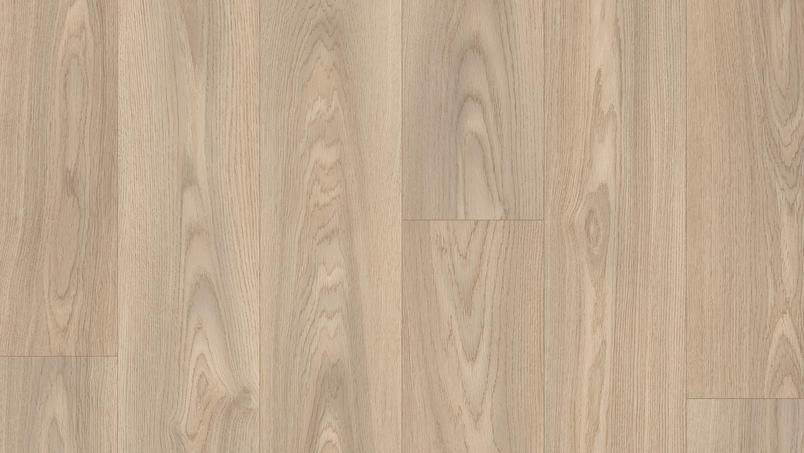 Citizen Oak Medium Grey