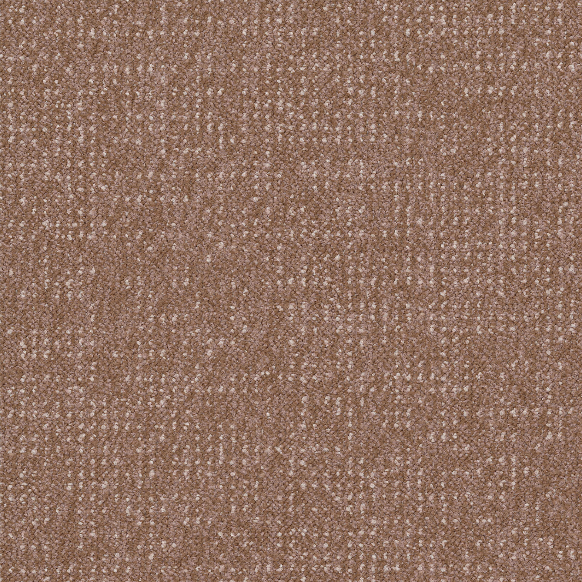 Desso Enlaced