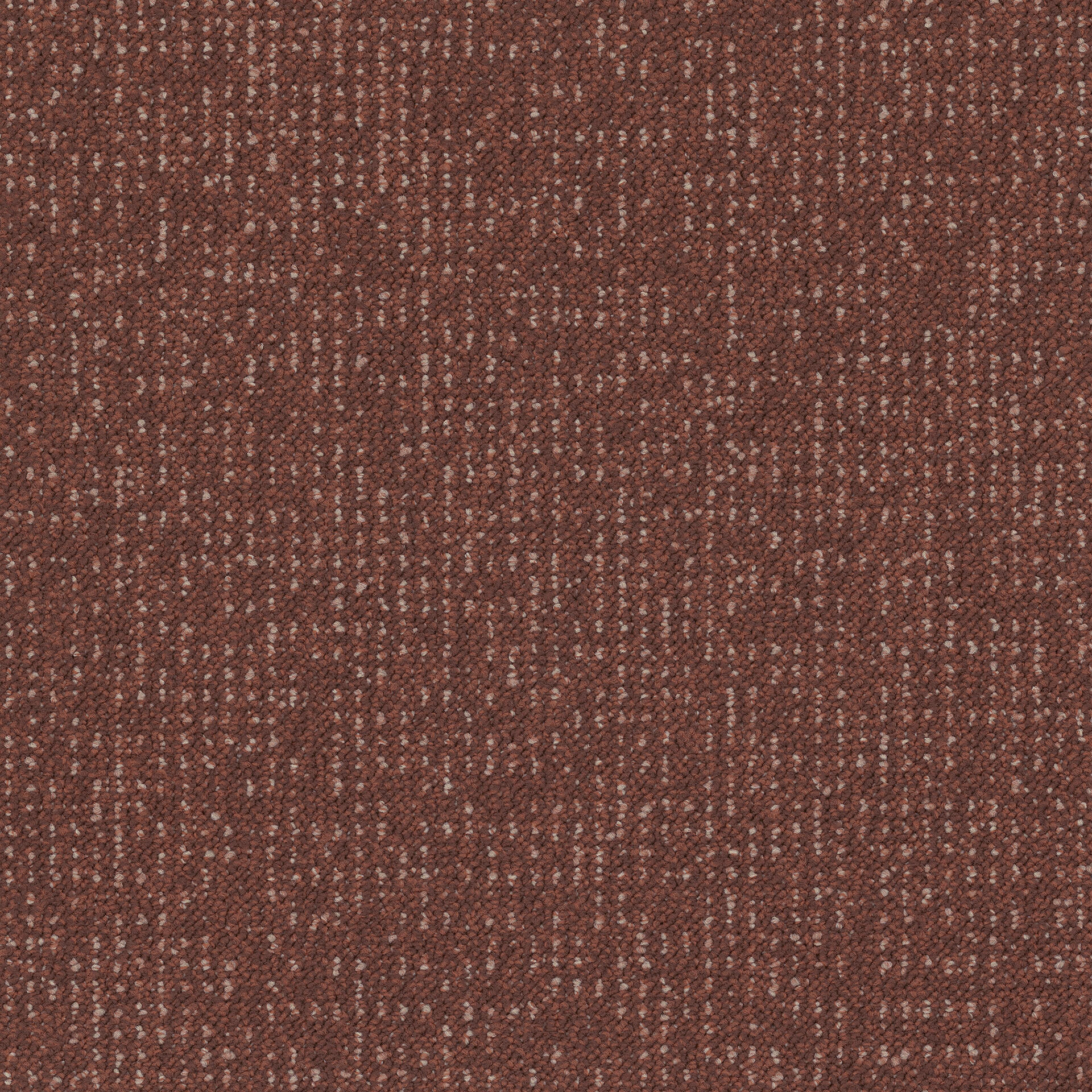 Desso Enlaced Desso Enlaced Ad43 4311 B8