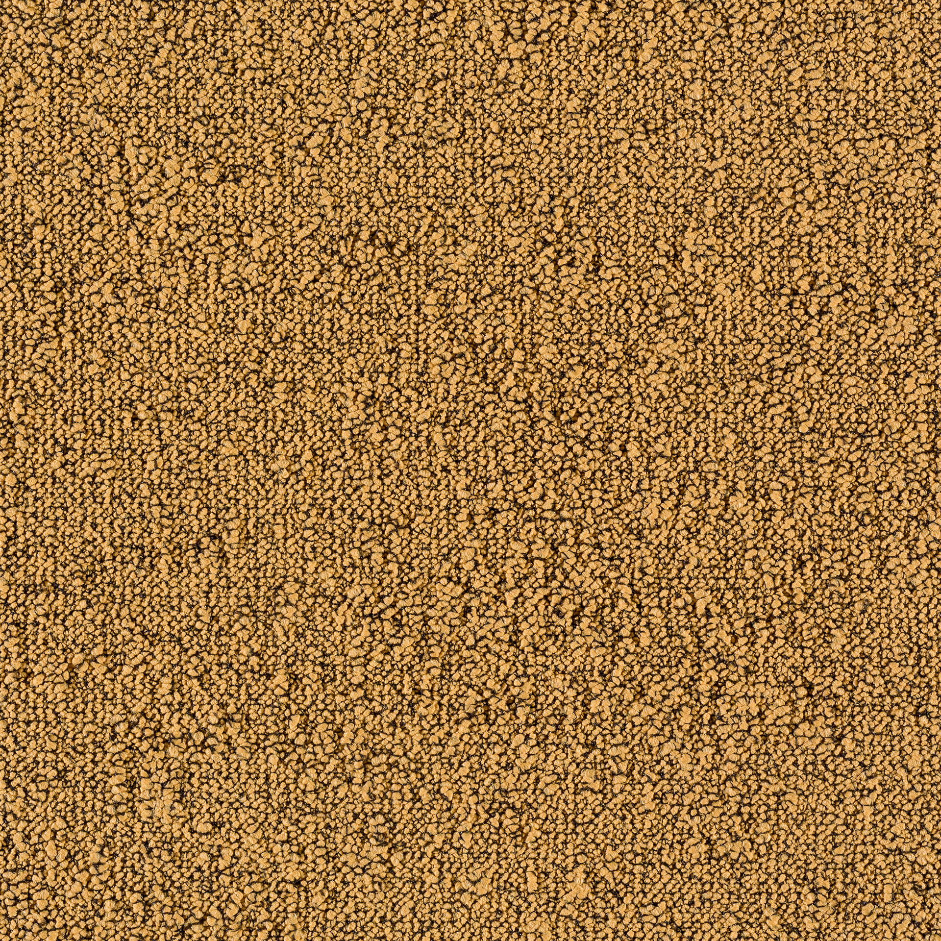 Desso Fields B751