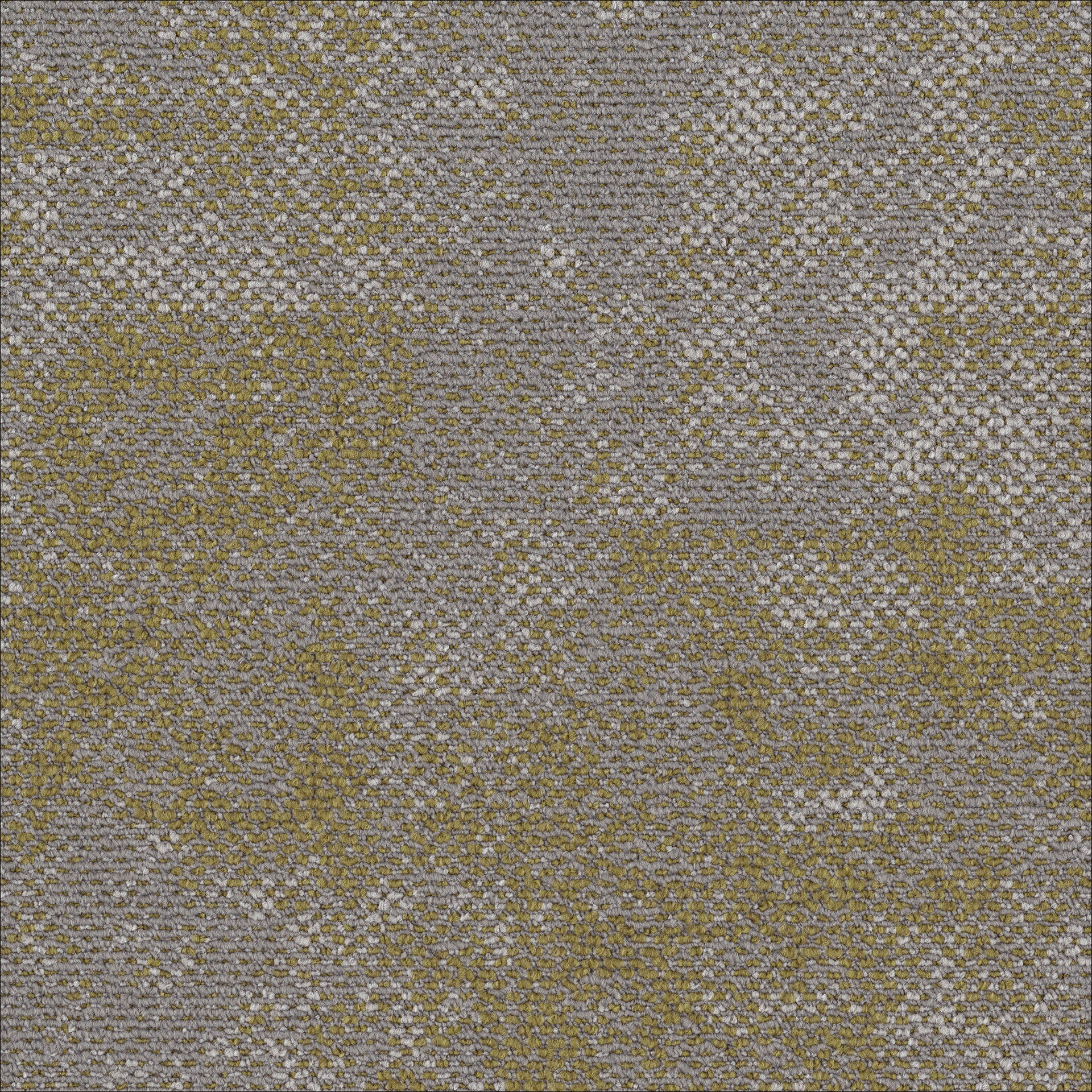 Desso Grezzo Bloom