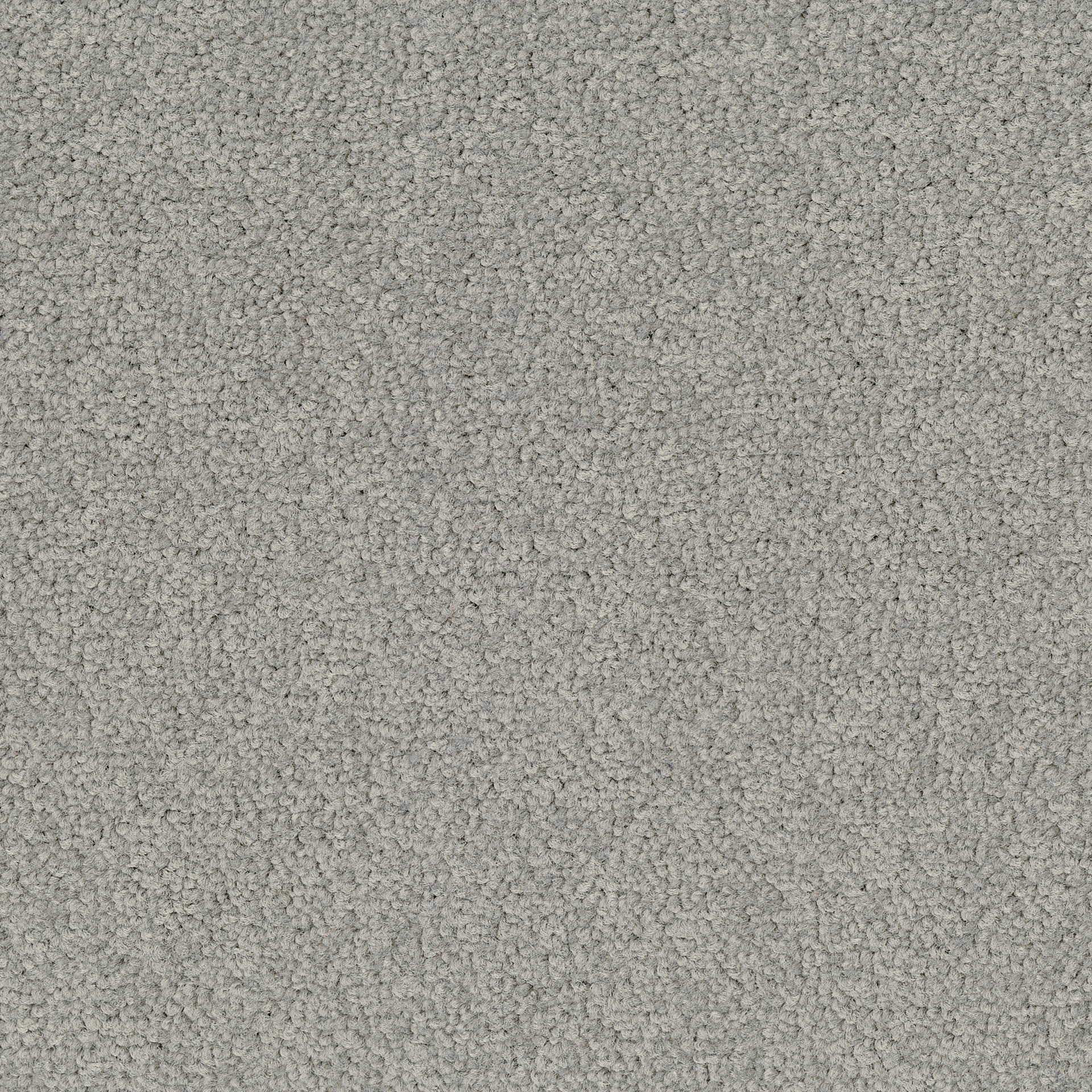 Desso Palatino A072