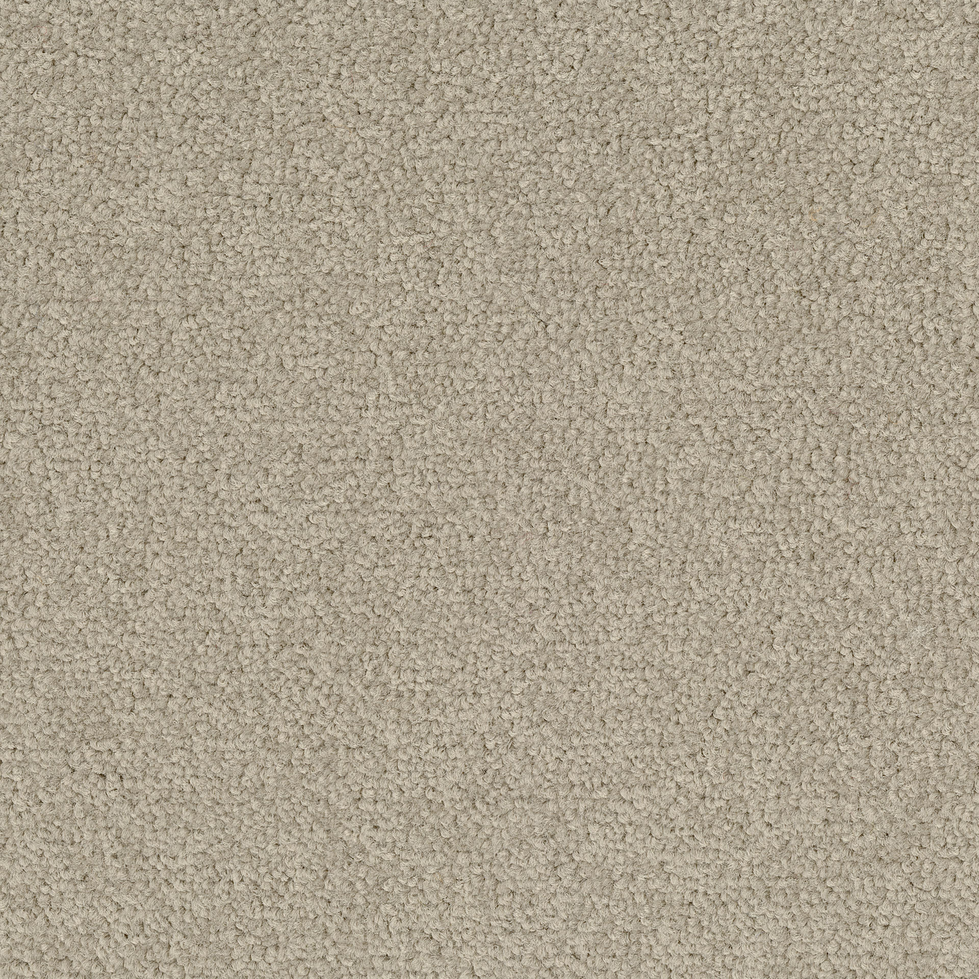 Desso Palatino A072
