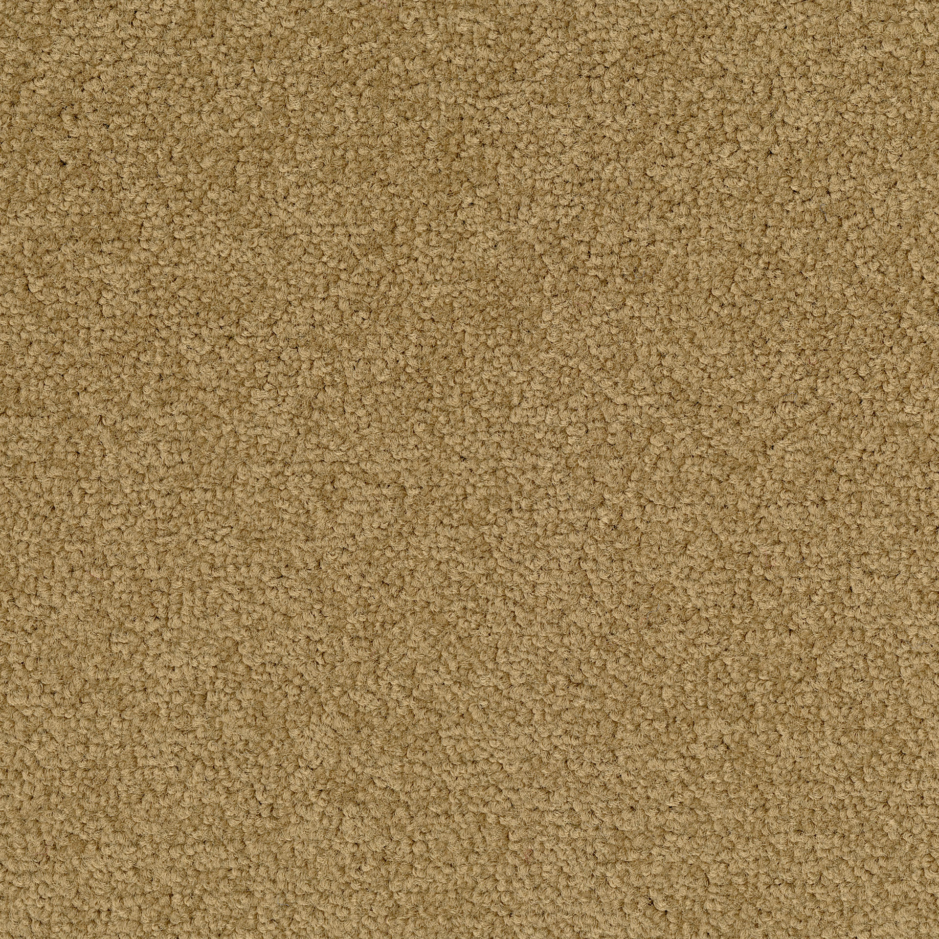 Desso Palatino A072