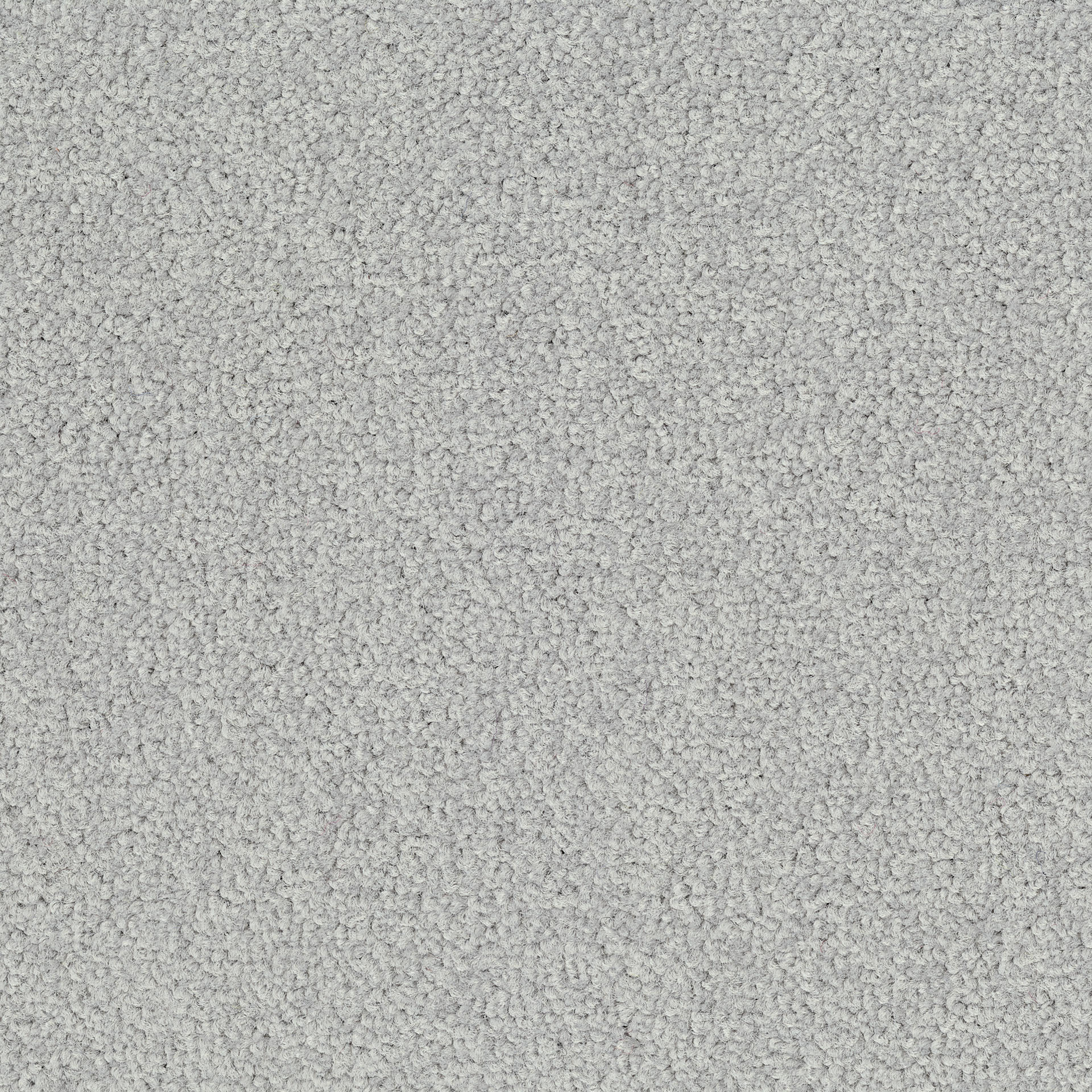 Desso Palatino Lrv Palatino Ecobase B359