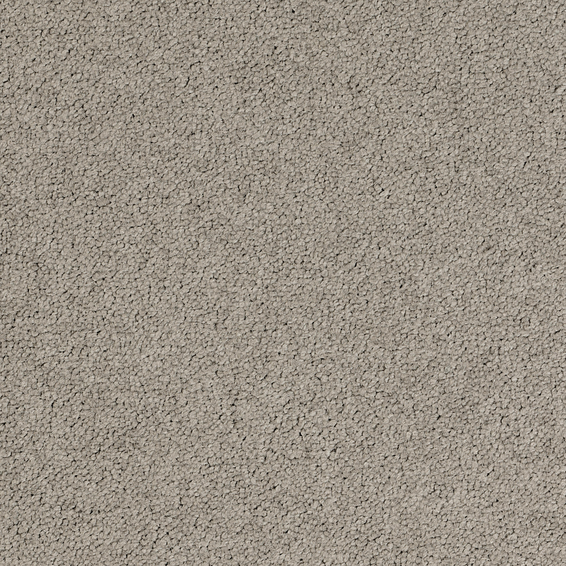 Desso Palatino A072