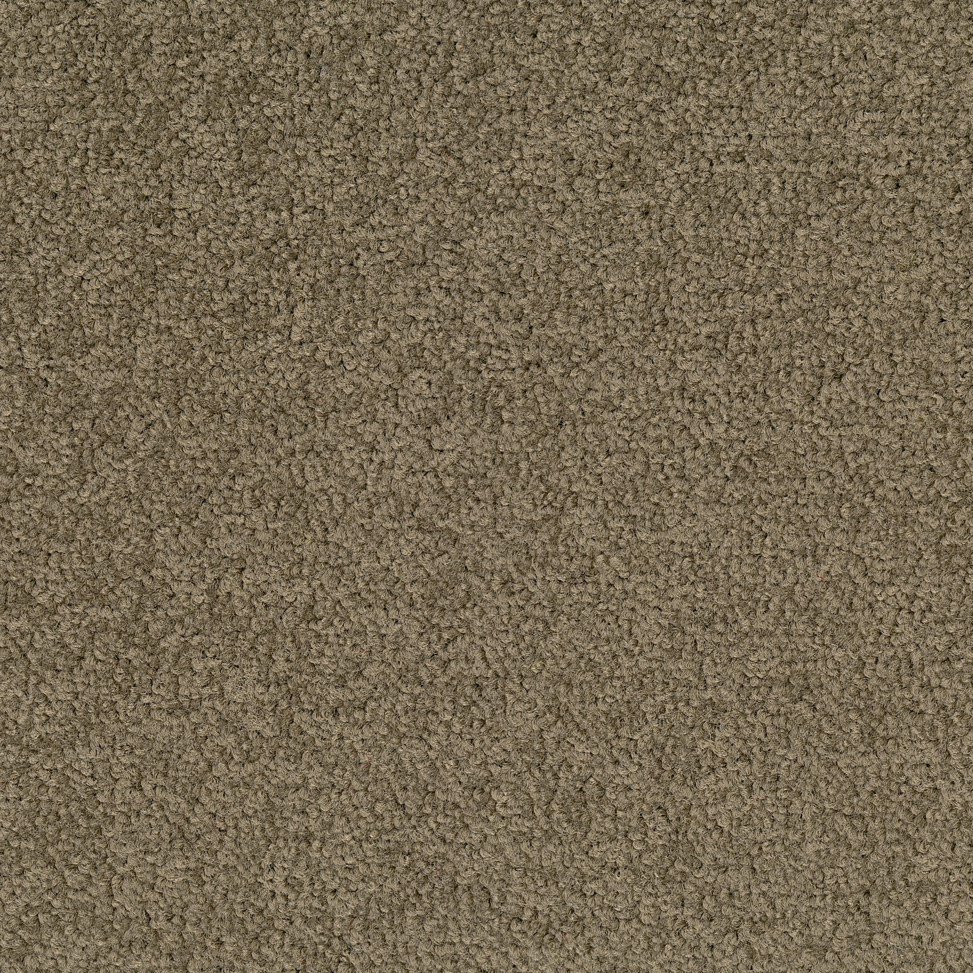 Desso Palatino A072