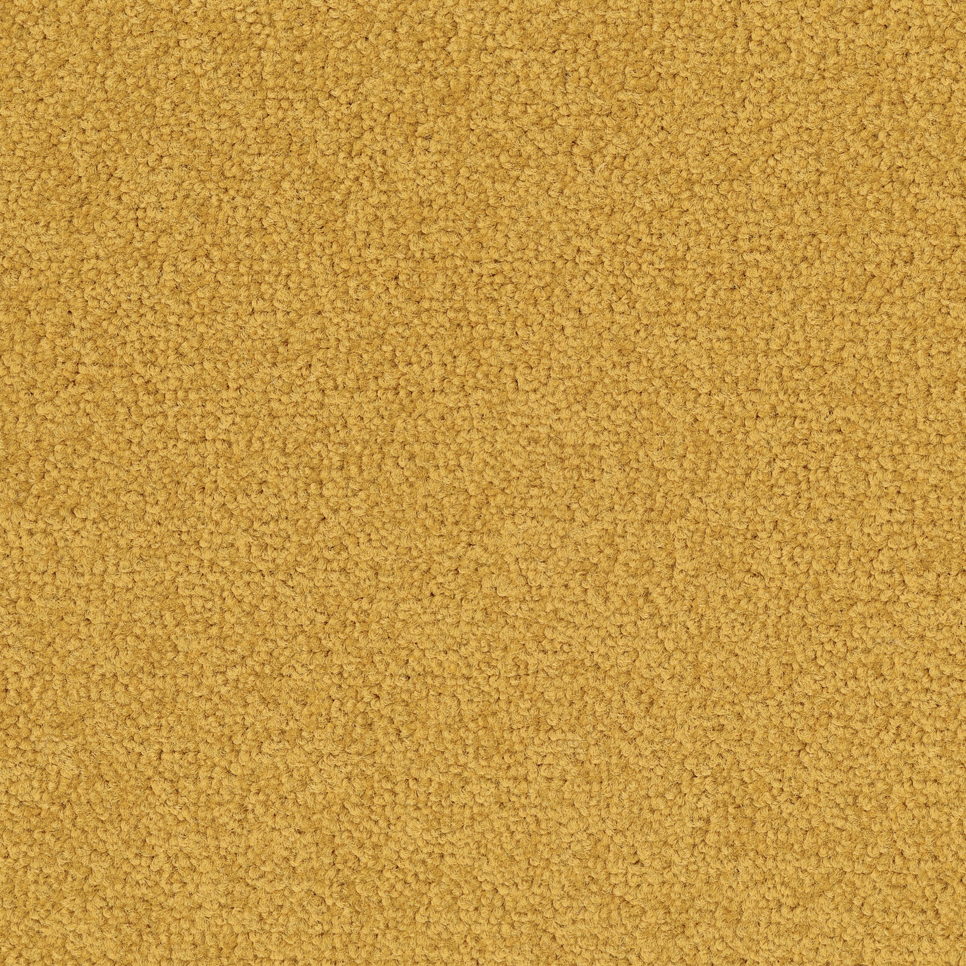 Desso Palatino A072