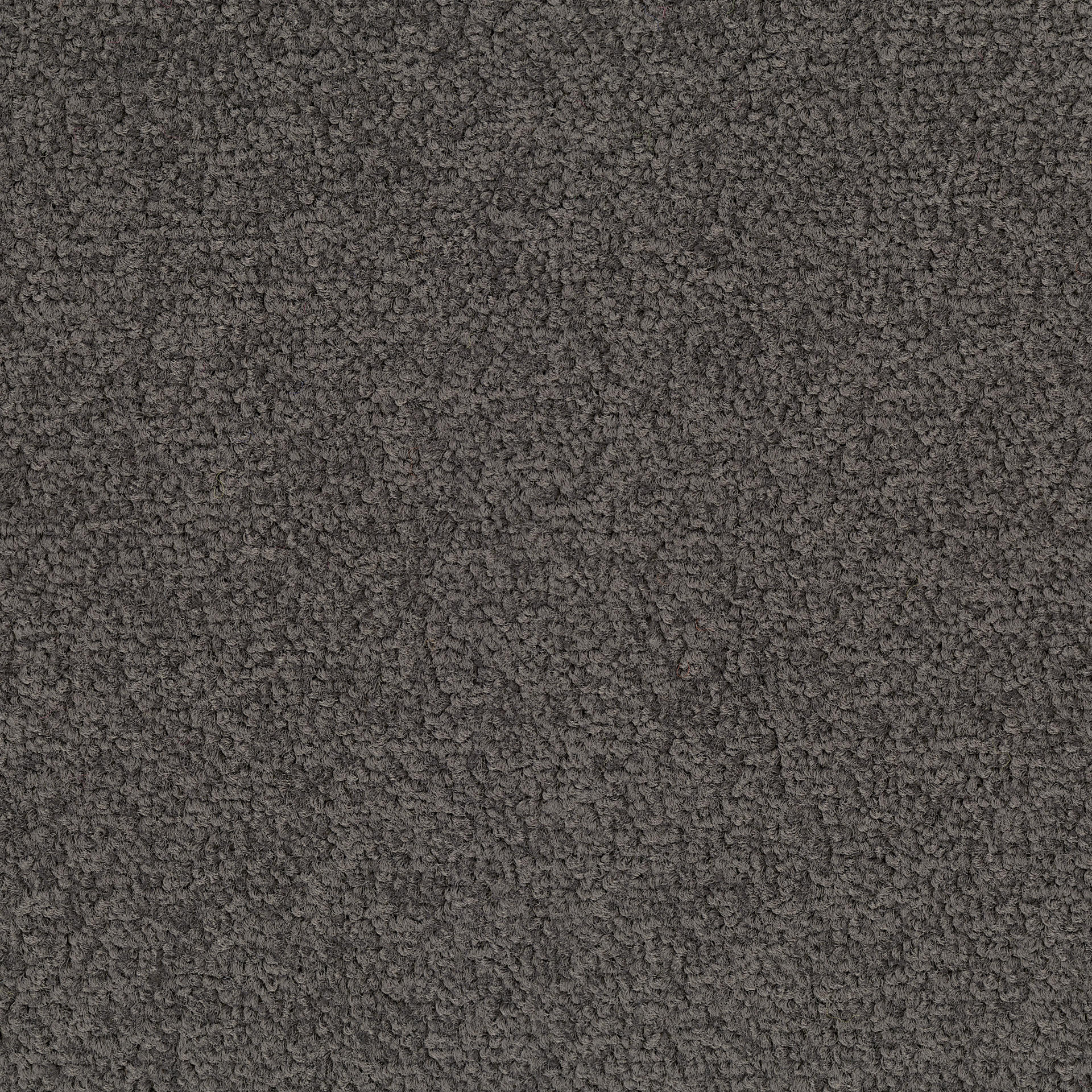 Desso Palatino A072