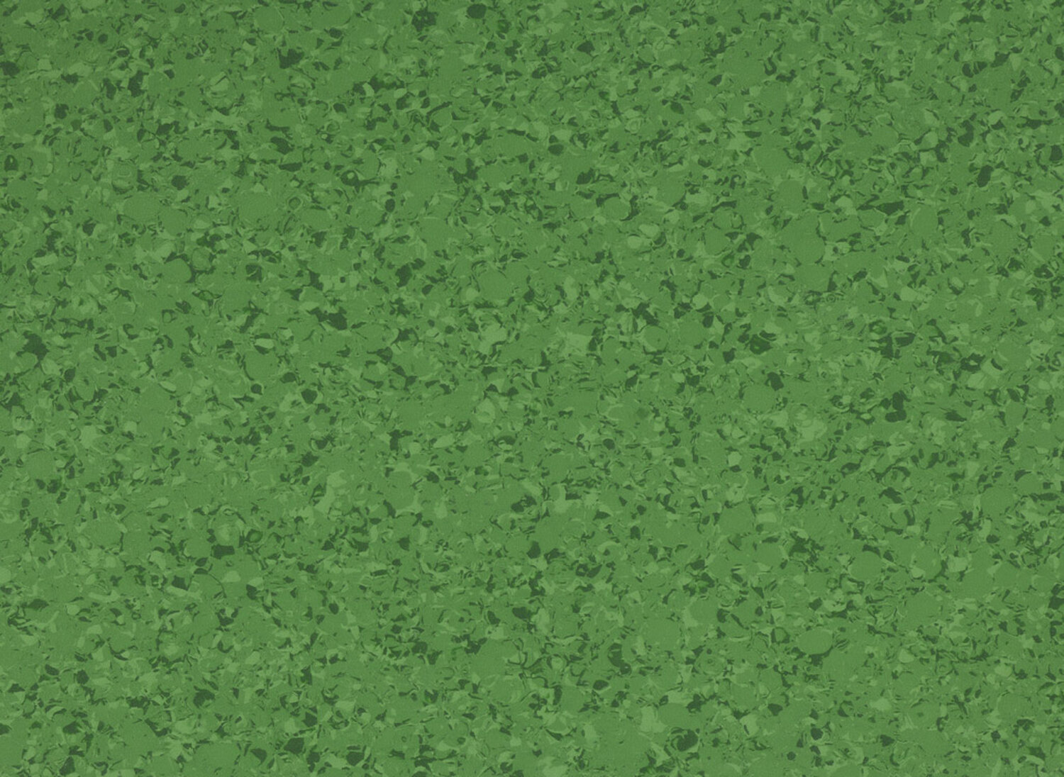 4467 CLOVER
