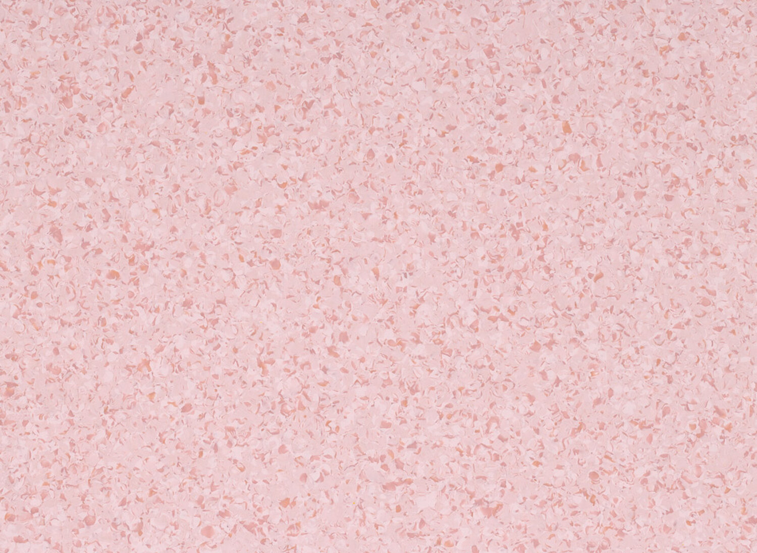 4481 ROSASPINA