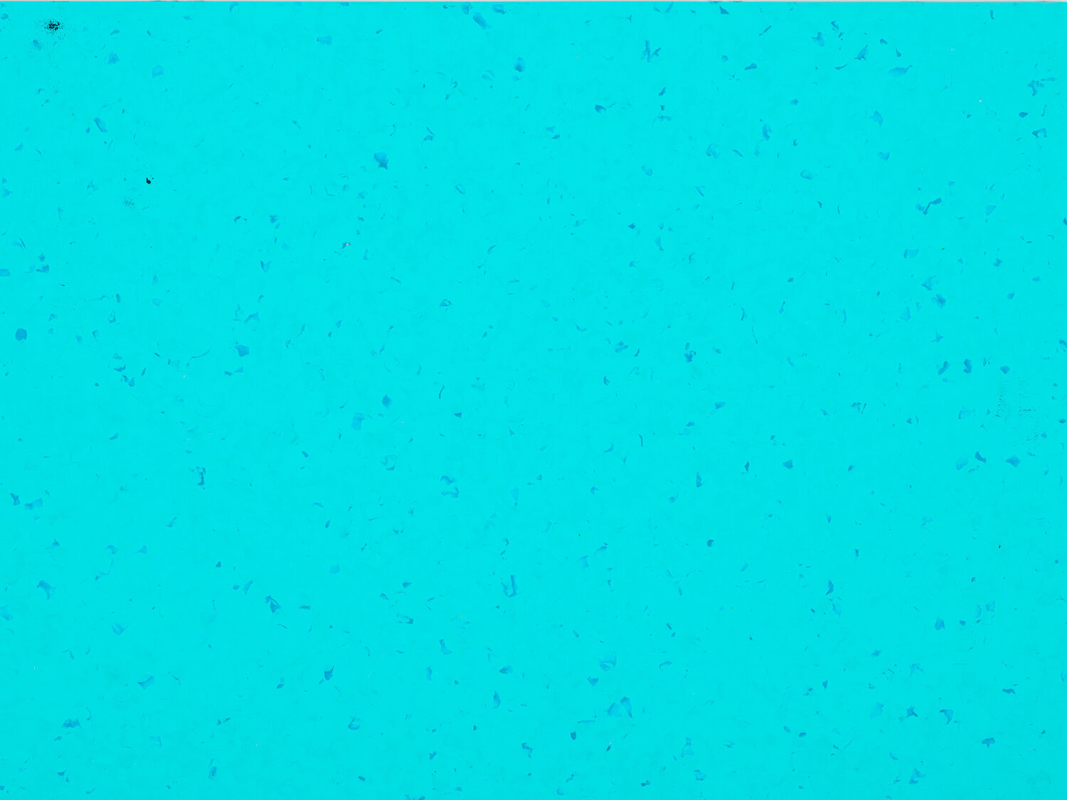 5437 REEF WATER