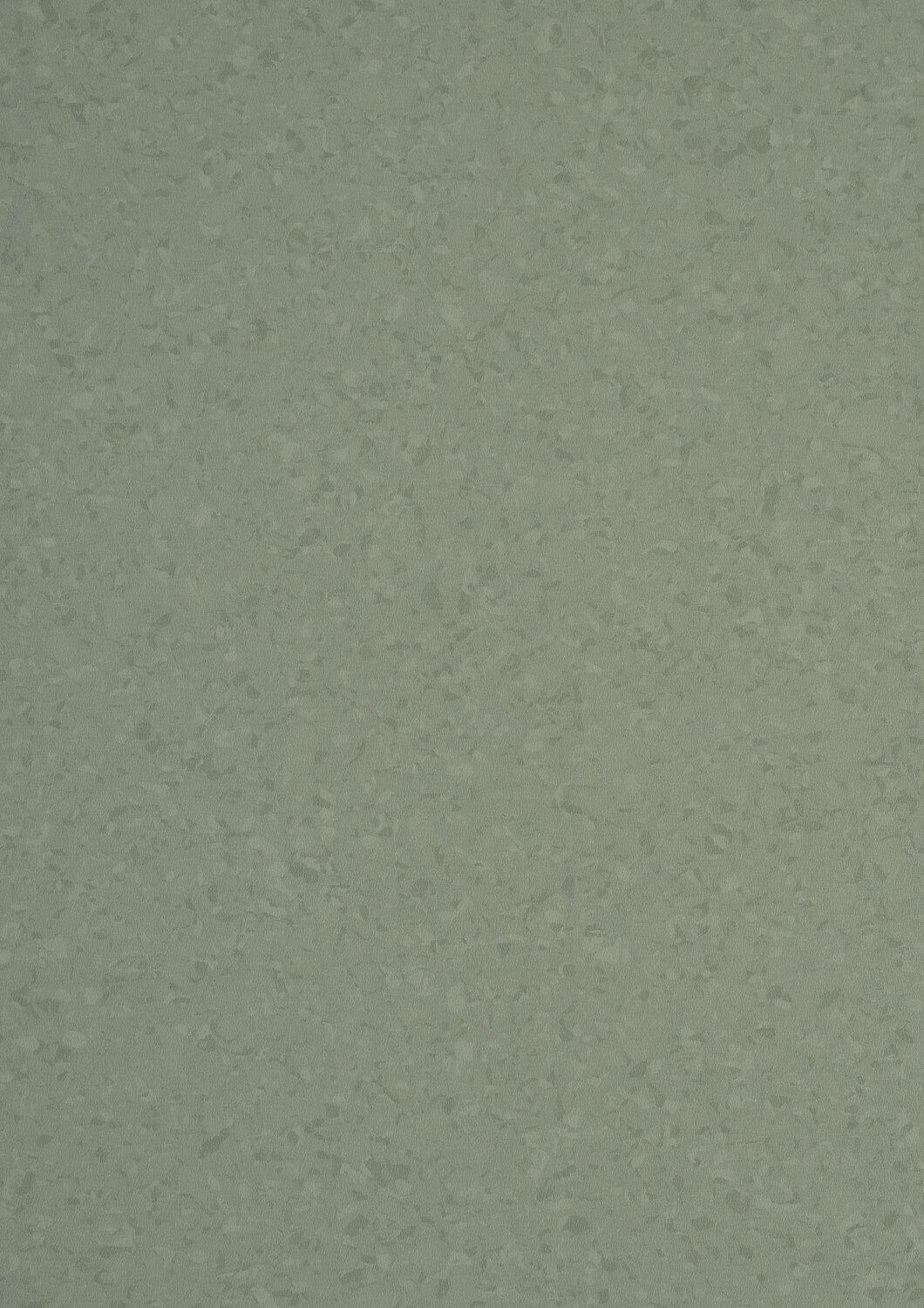 6067 KAKI