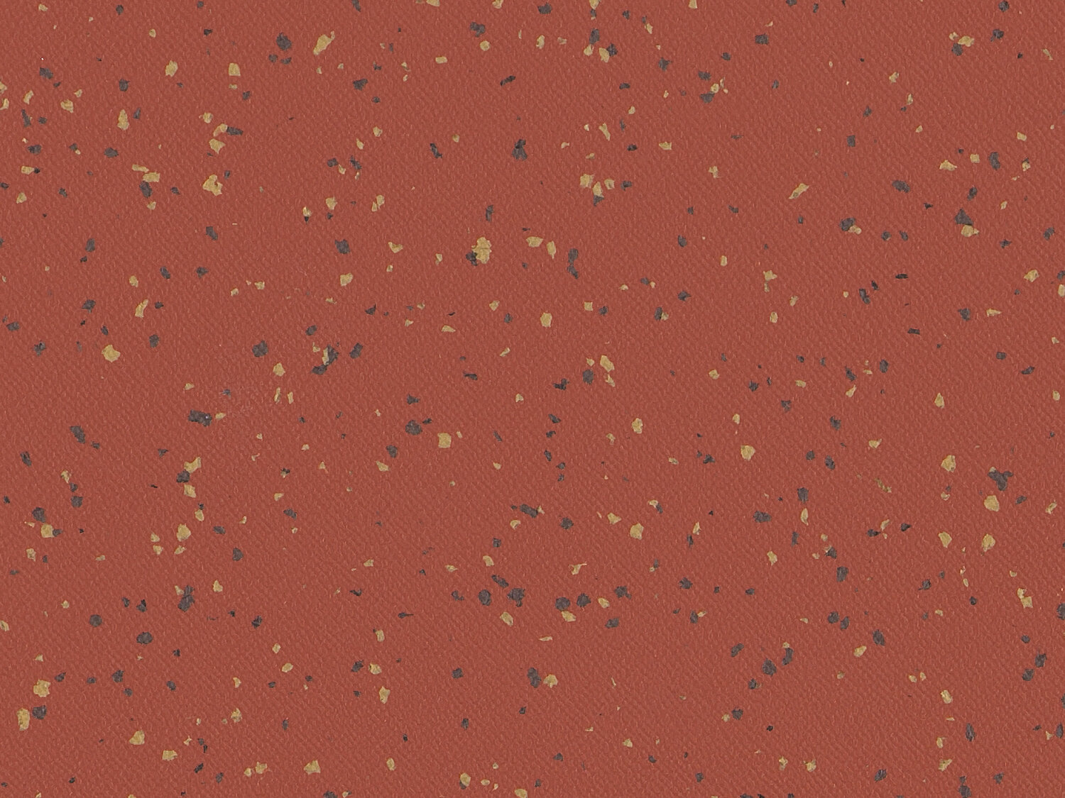 4051 INDIANA² MARACA