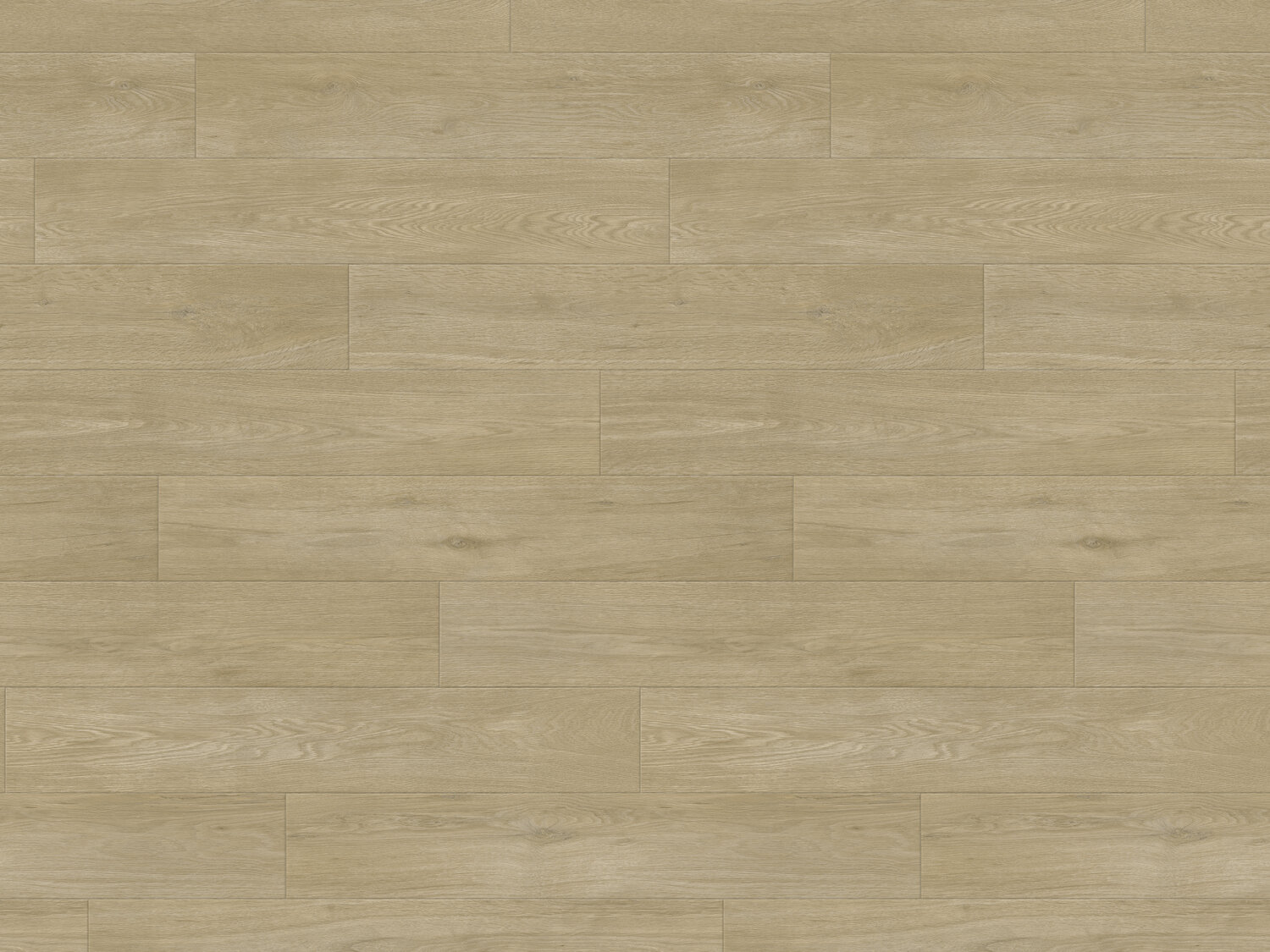 1055 NATURE OAK CLEAR