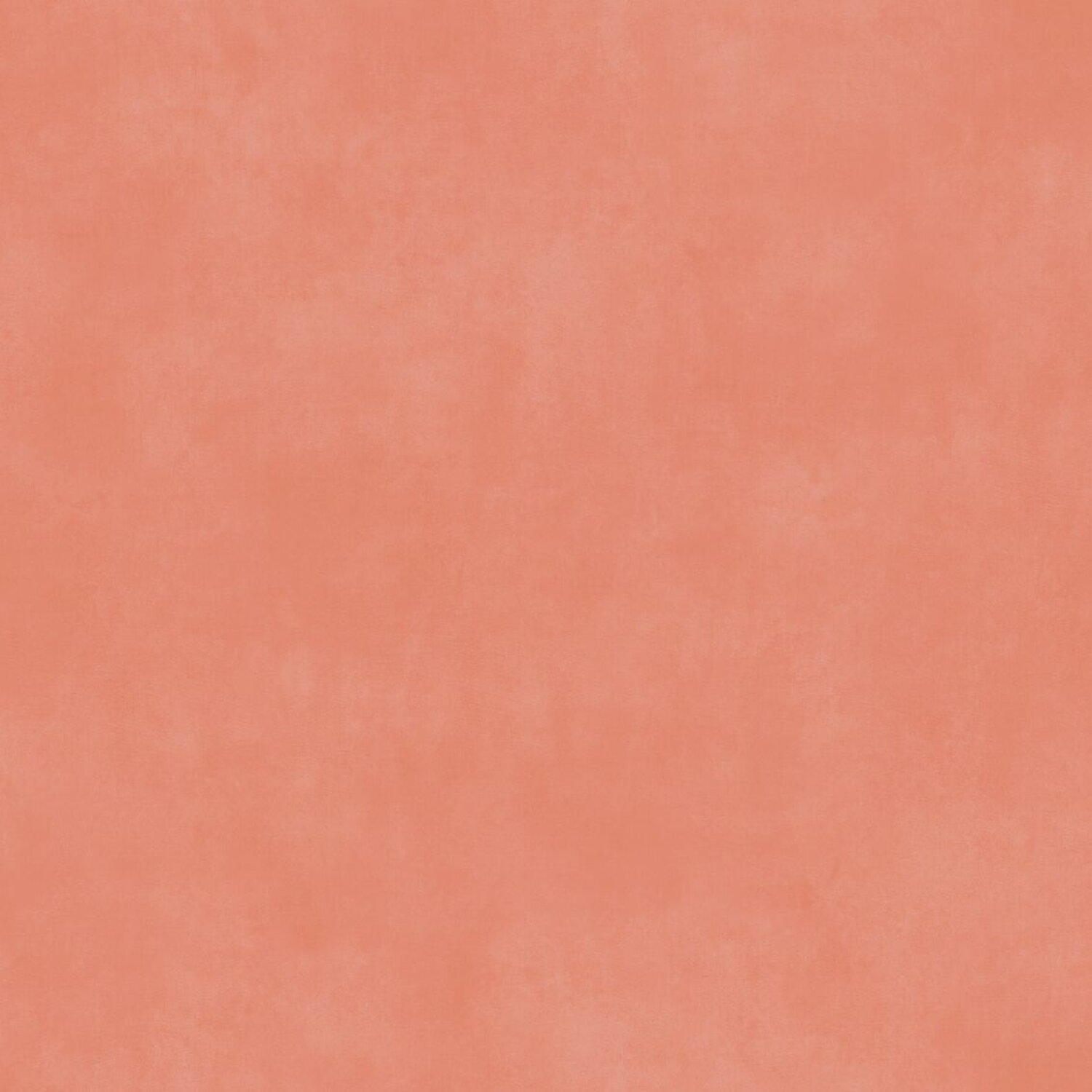 CHICAGO CORAL
