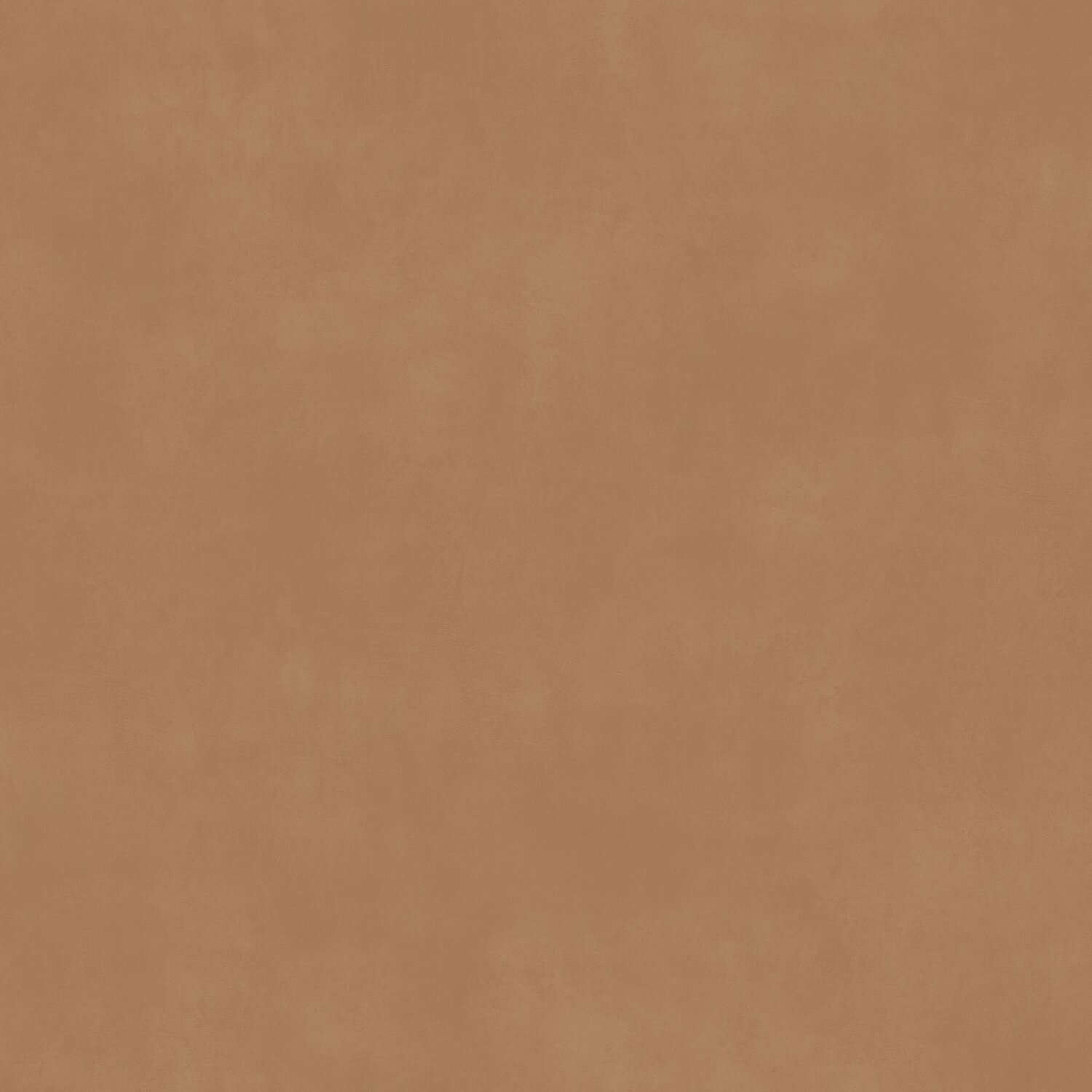 CHICAGO TERRA